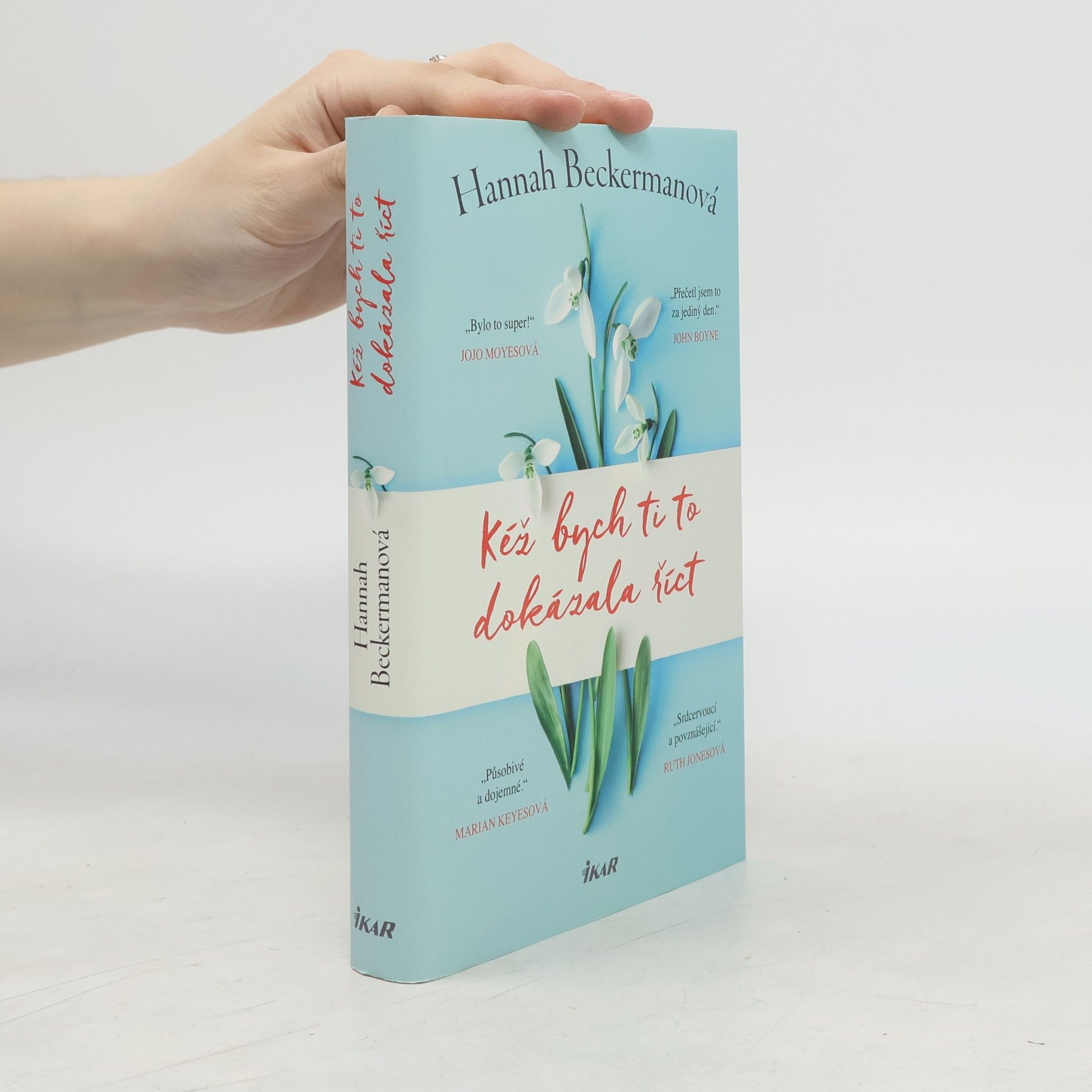 Hannah Beckerman Kéž bych ti to dokázala říct