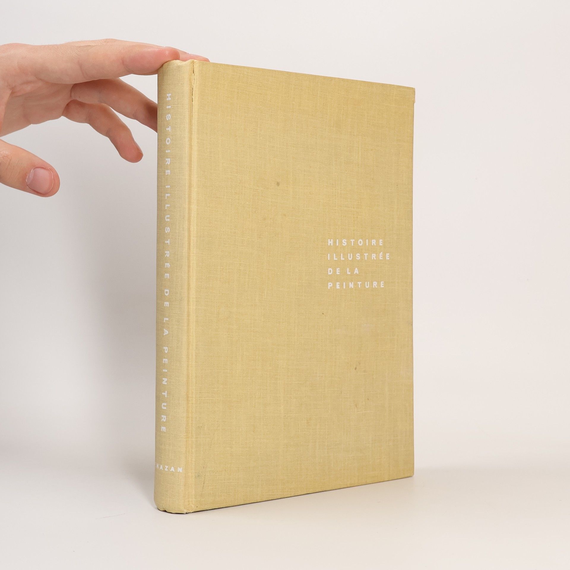 Kolektiv autorů Histoire illustrée de la peinture de l'art rupestre a l'art abstrait