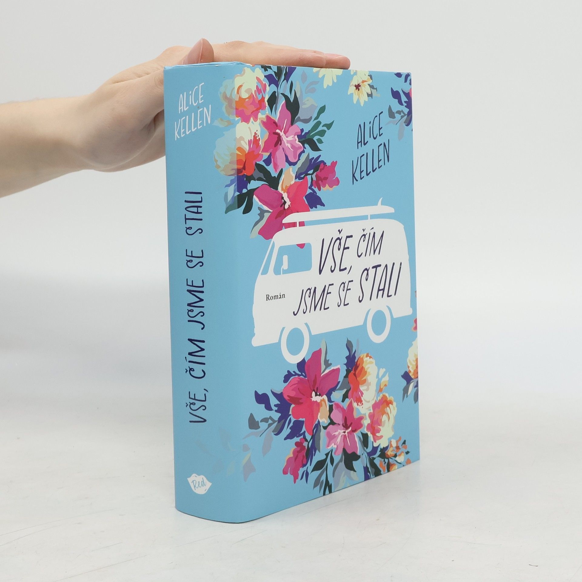 Alice Kellen Vše, čím jsme se stali