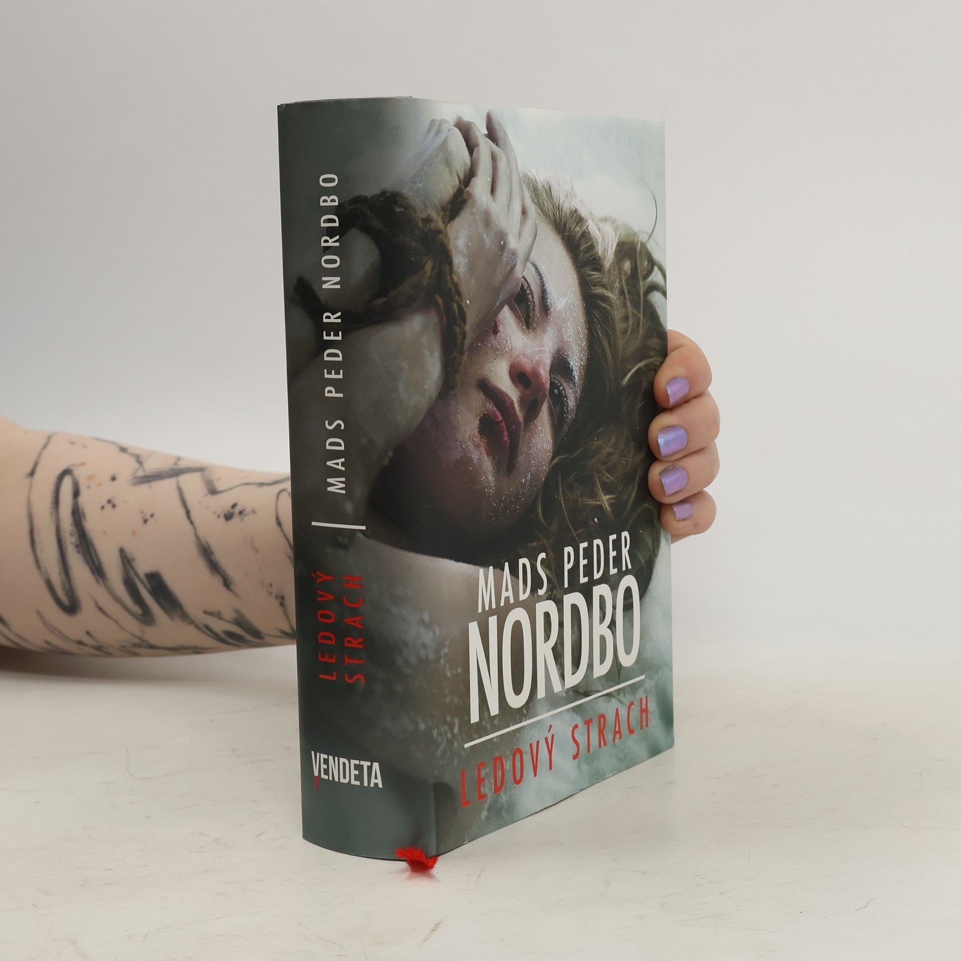 Mads Peder Nordbo Ledový strach