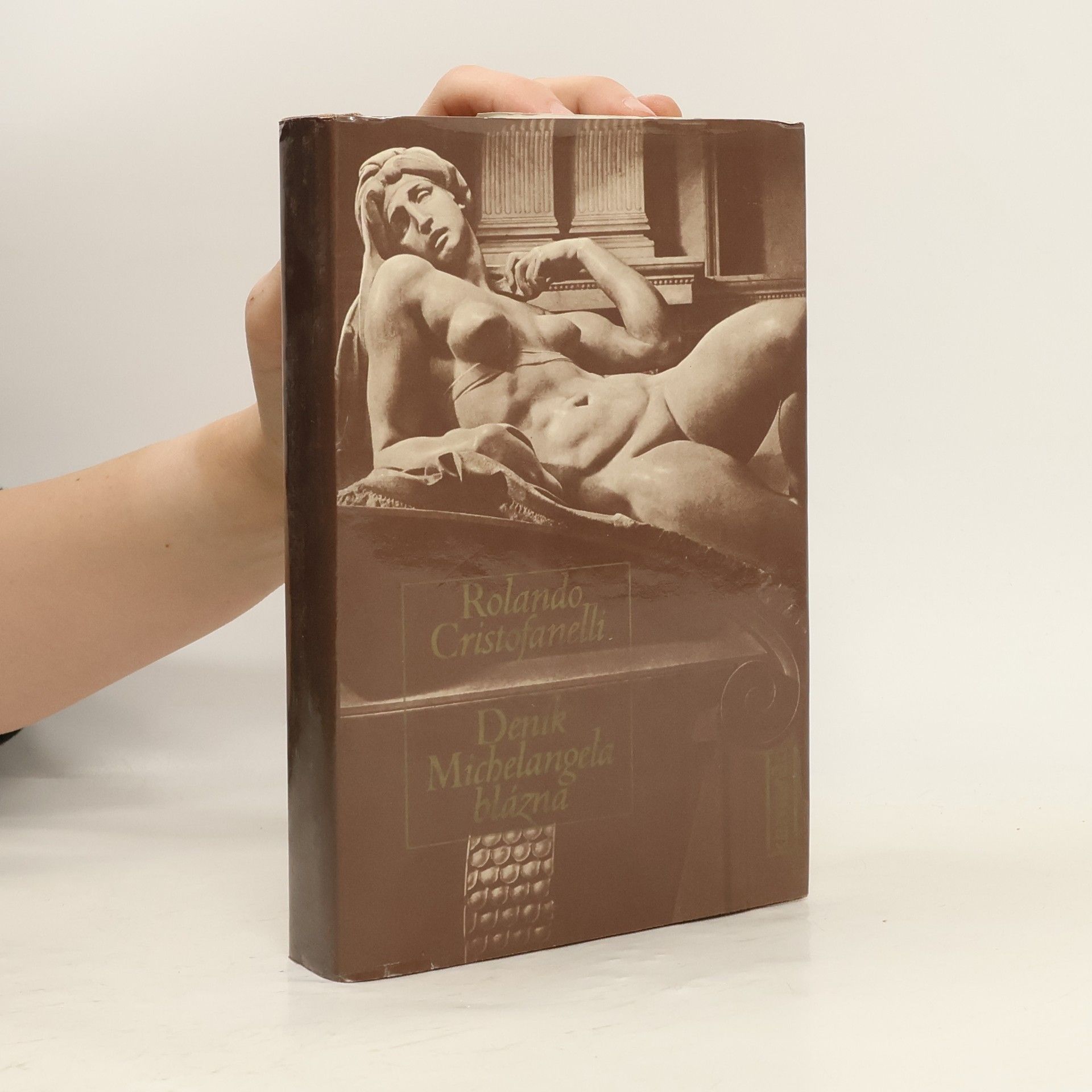 Rolando Cristofanelli Deník Michelangela blázna