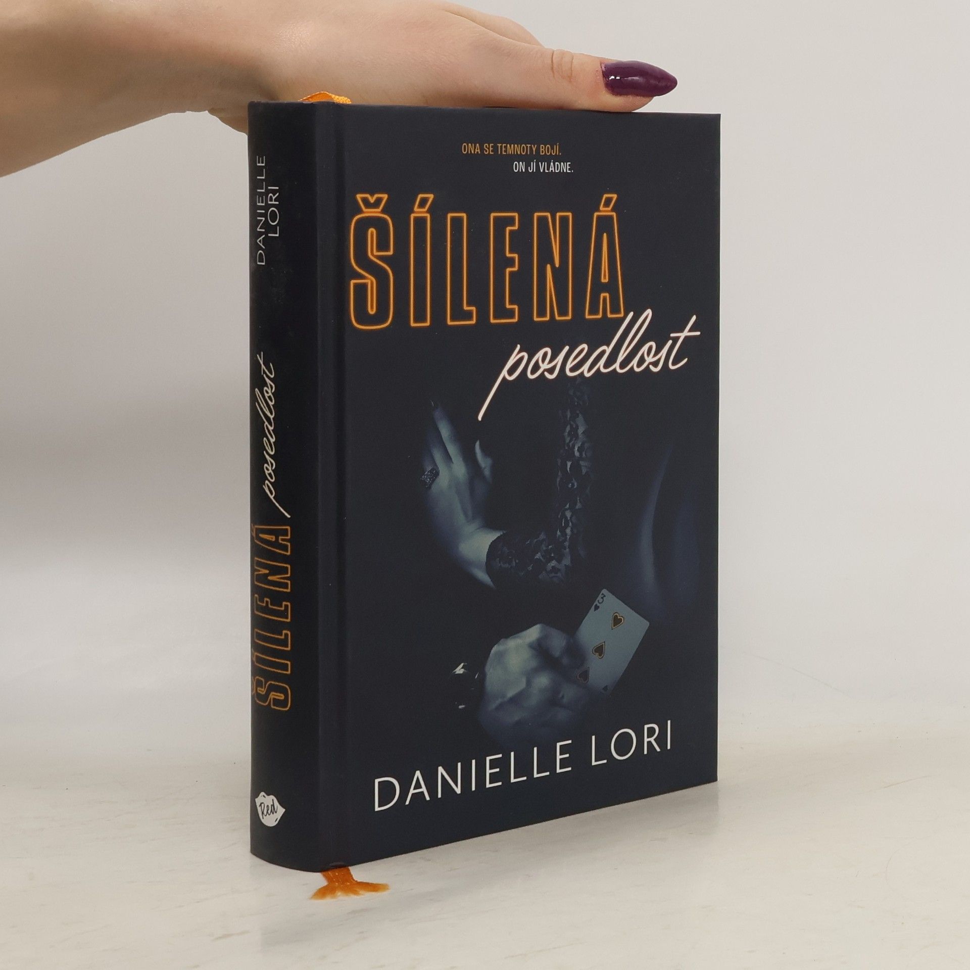 Danielle Lori Šílená posedlost