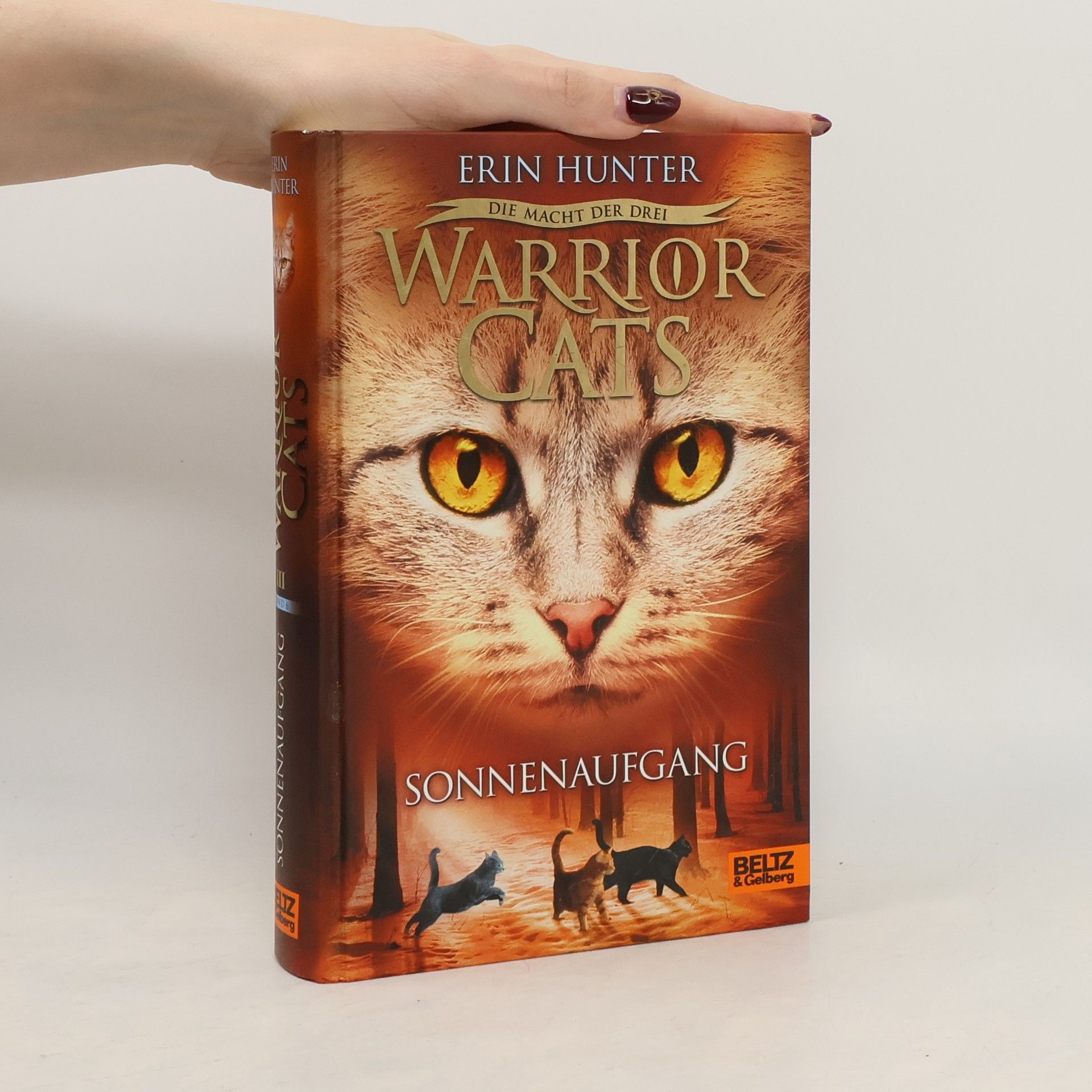 Erin Hunter Warrior Cats. Sonnenaufgang