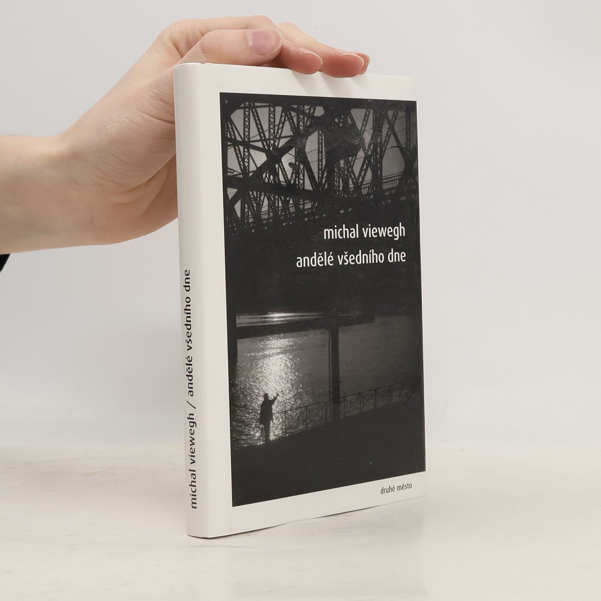 Michal Viewegh Andělé všedního dne
