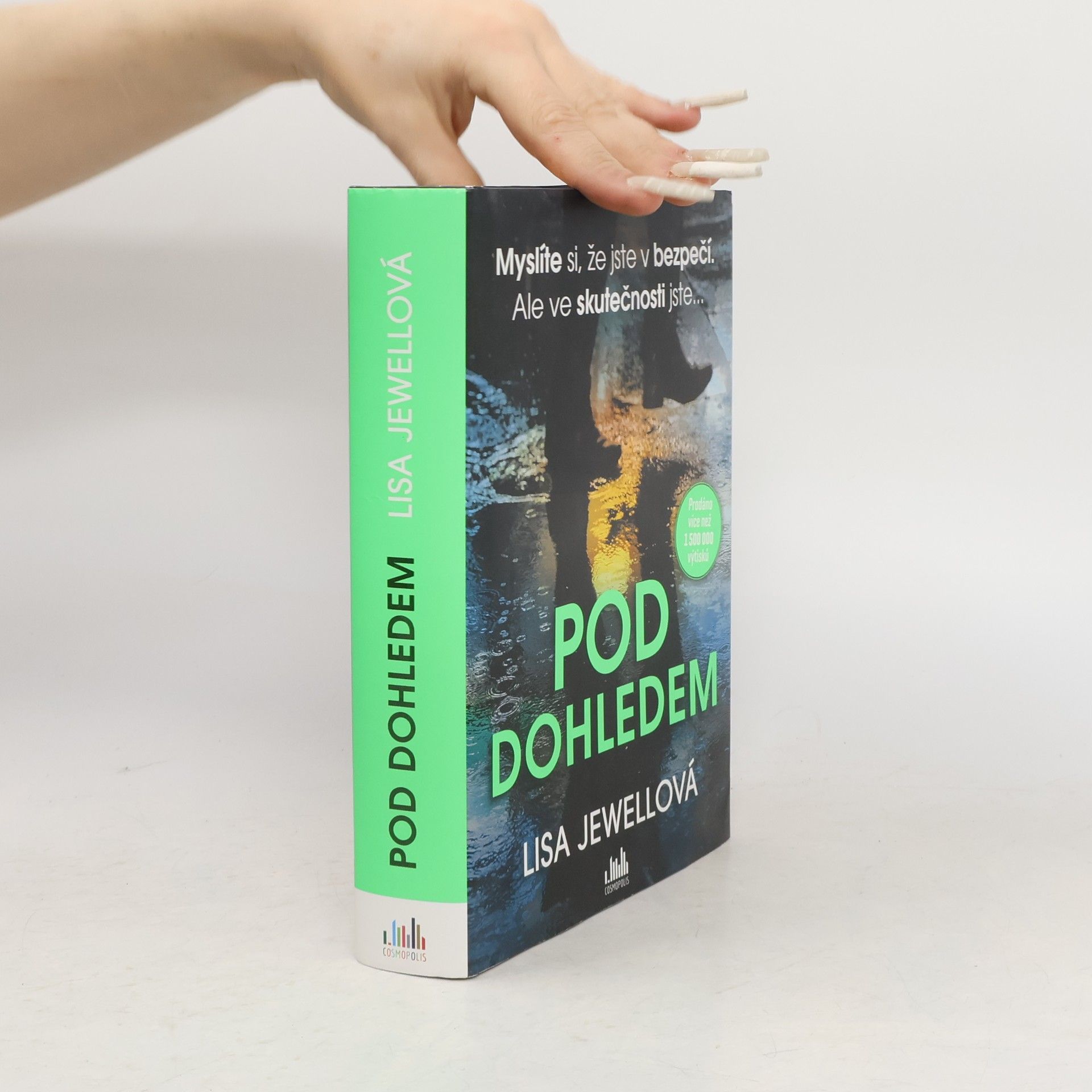 Lisa Jewell Pod dohledem
