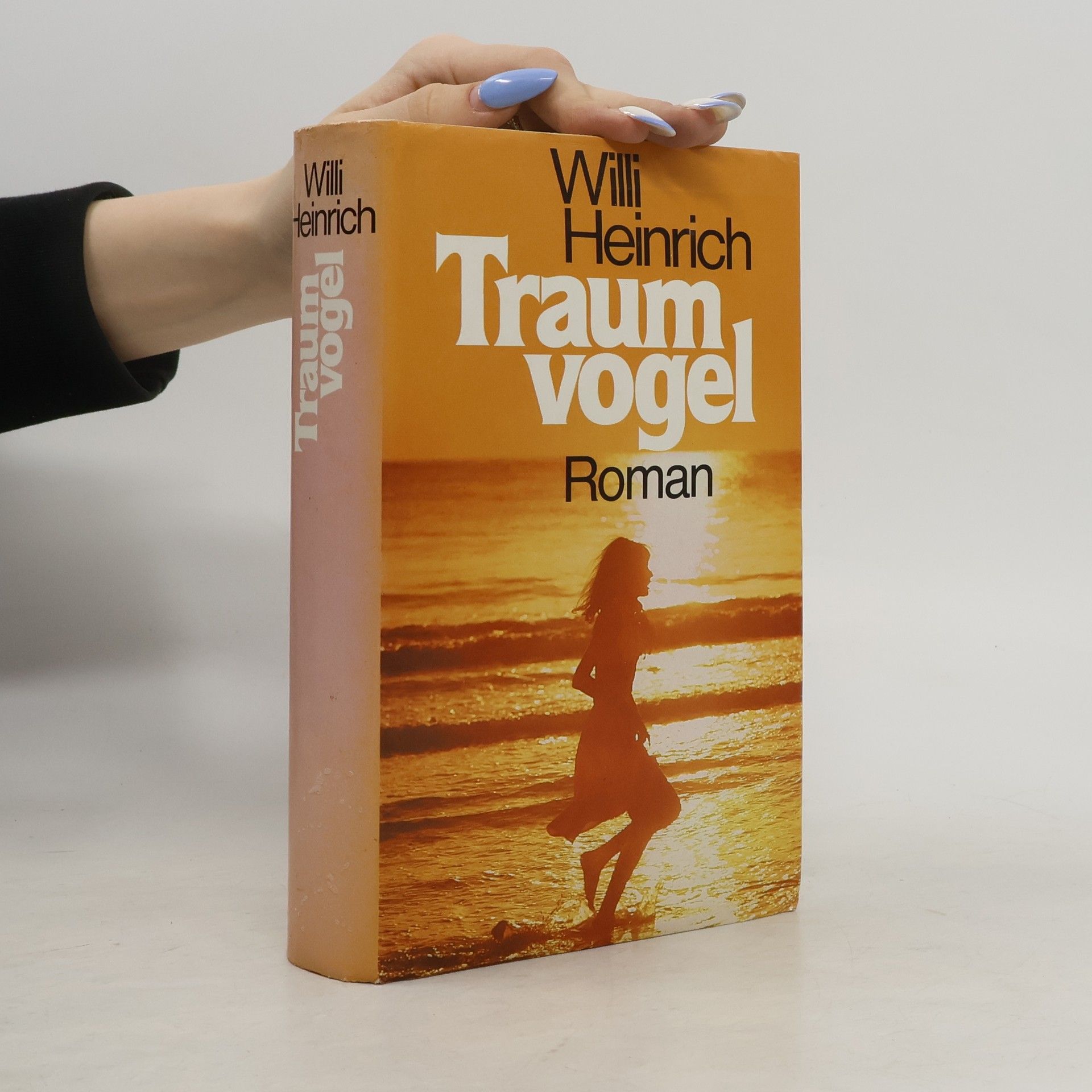 Willi Heinrich Traumvogel