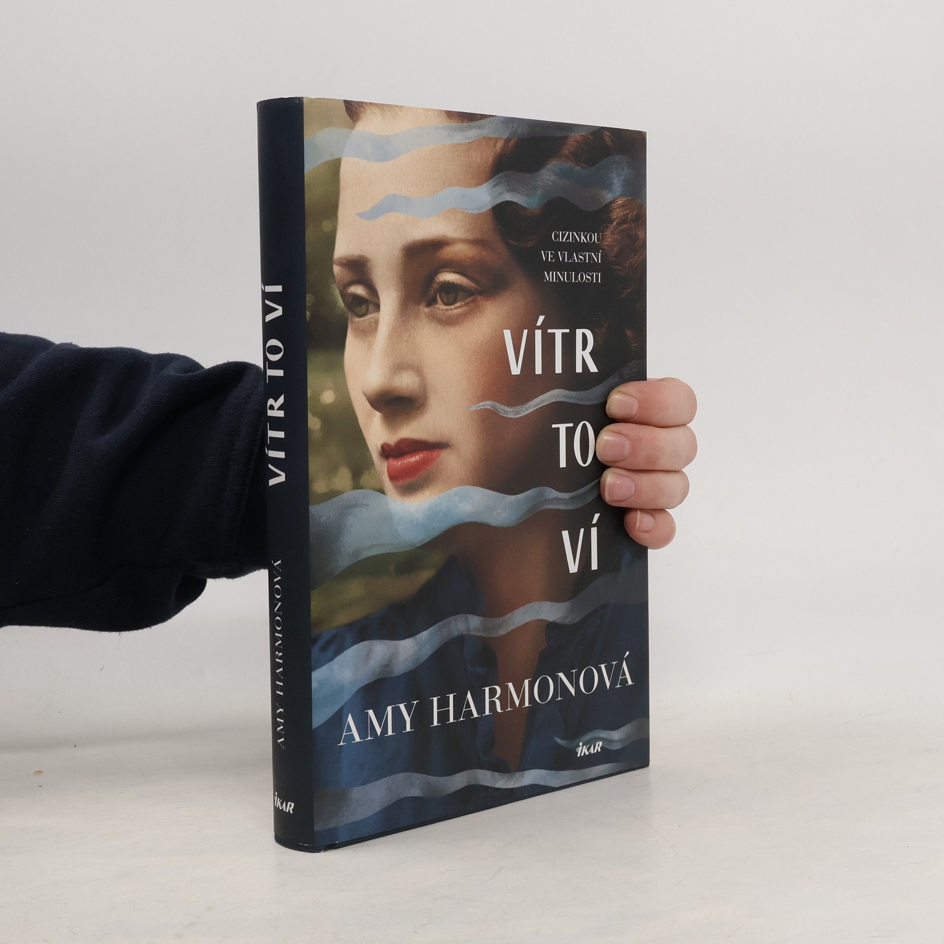 Amy Harmon Vítr to ví