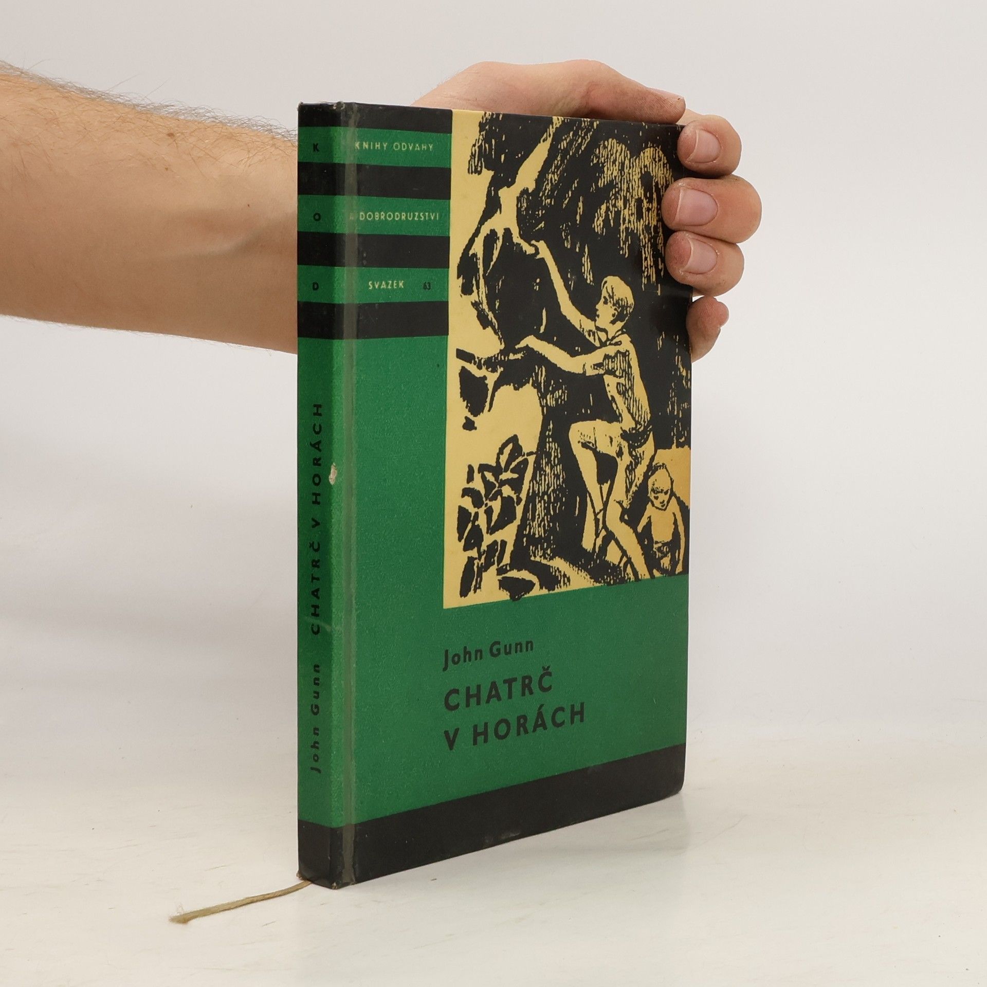 John Gunn Chatrč v horách