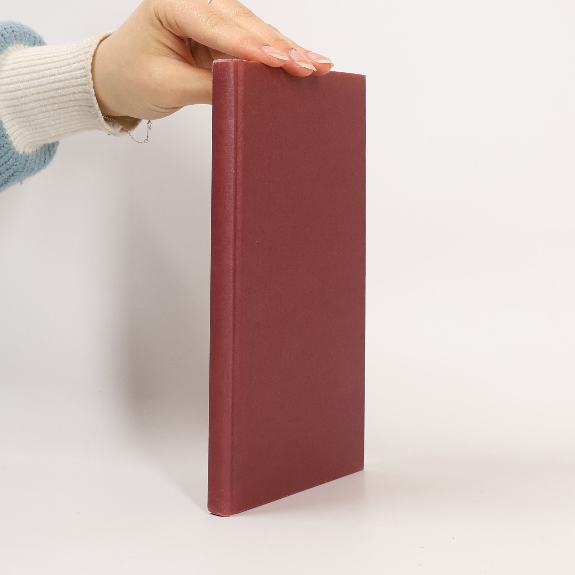 Viktorija Kocman Ein Stück gebrannter Erde