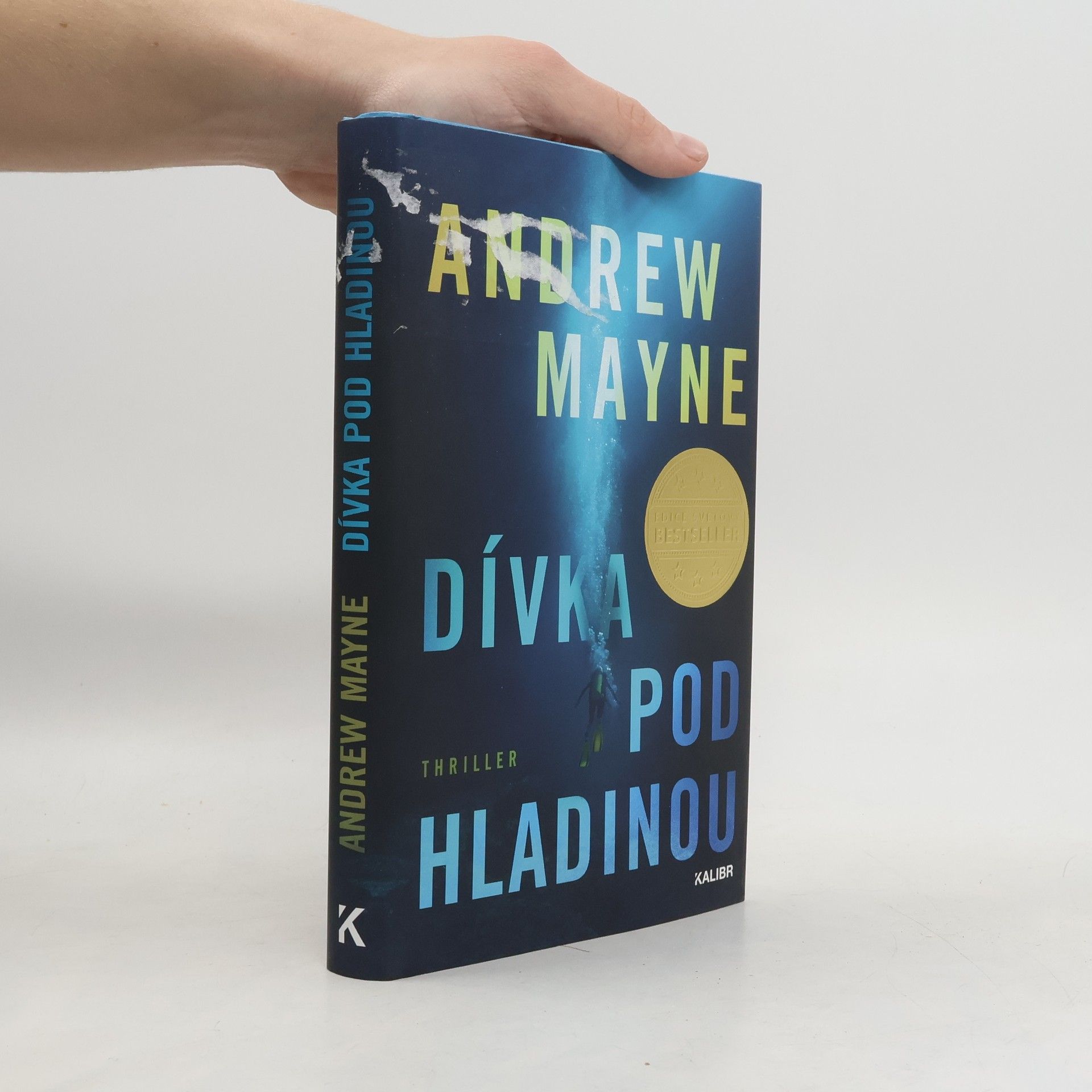 Andrew Mayne Dívka pod hladinou