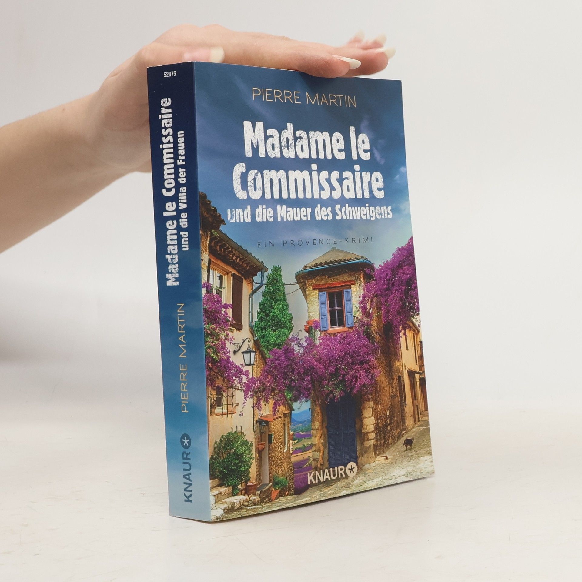 Pierre Martin Madame le Commissaire und die Mauer des Schweigens