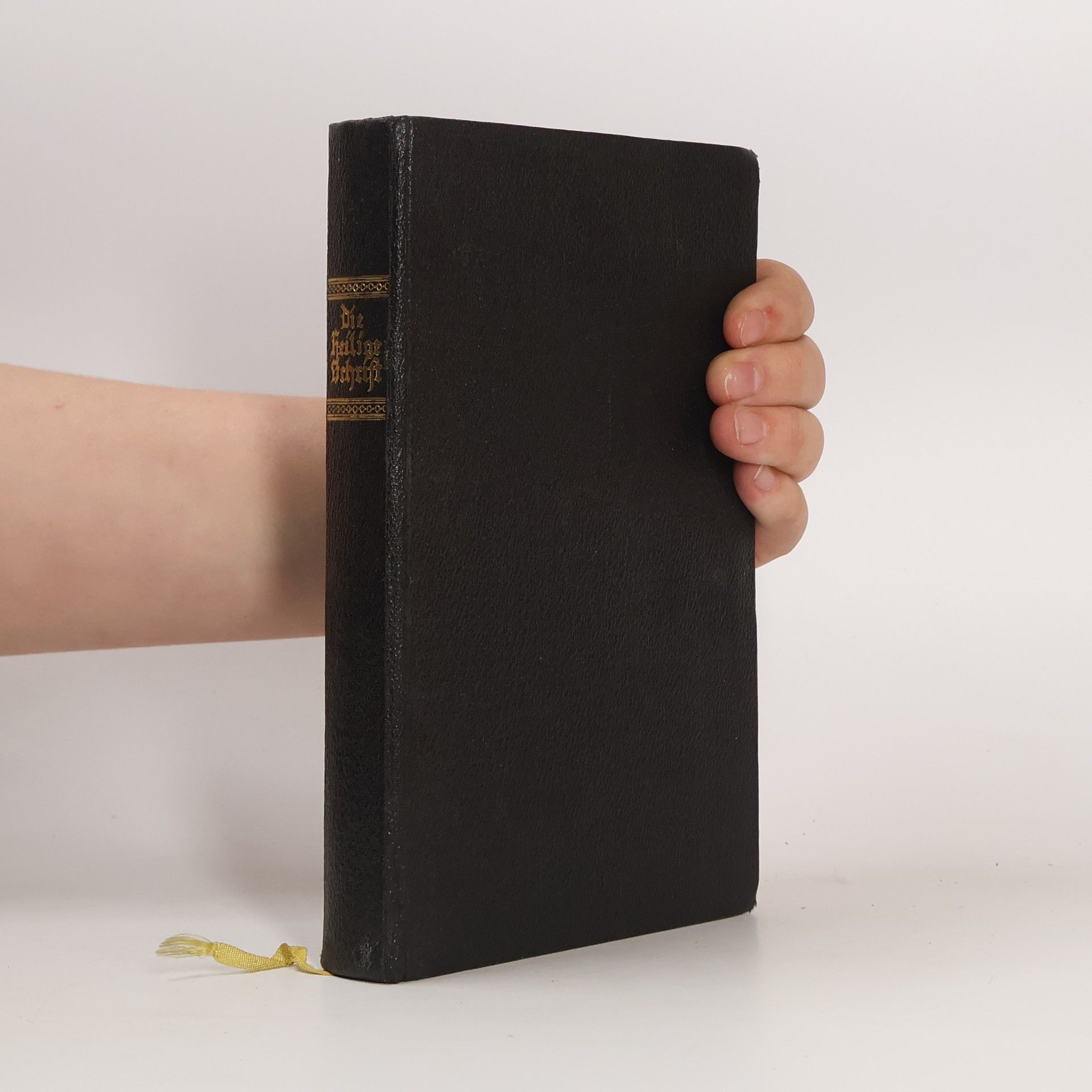 Dr. Martin Luther Die heilige Schrift nach der deutschen Übersetzung