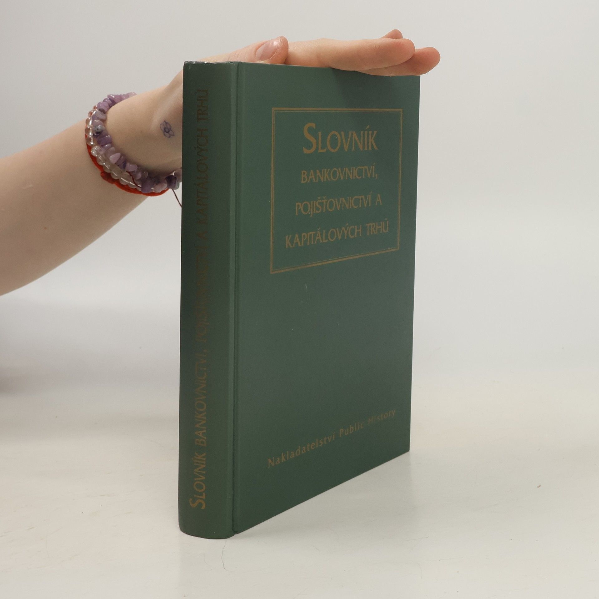 Václav Budinský Slovník bankovnictví, pojišťovnictví a kapitálových trhů