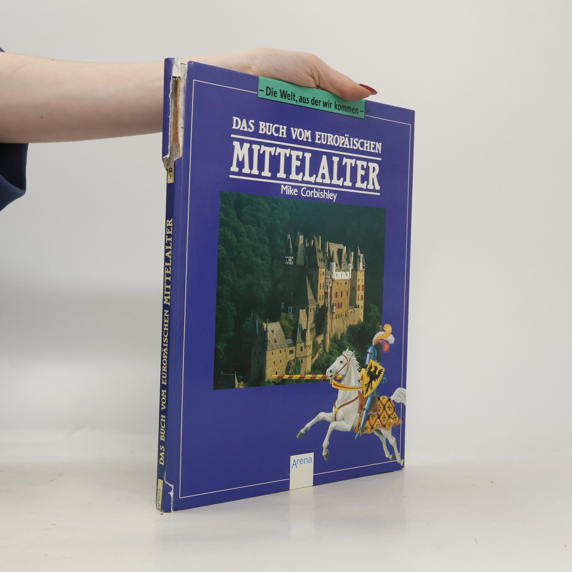 Raffaella Wiesinger-Pontevia Das Buch vom europäischen Mittelalter