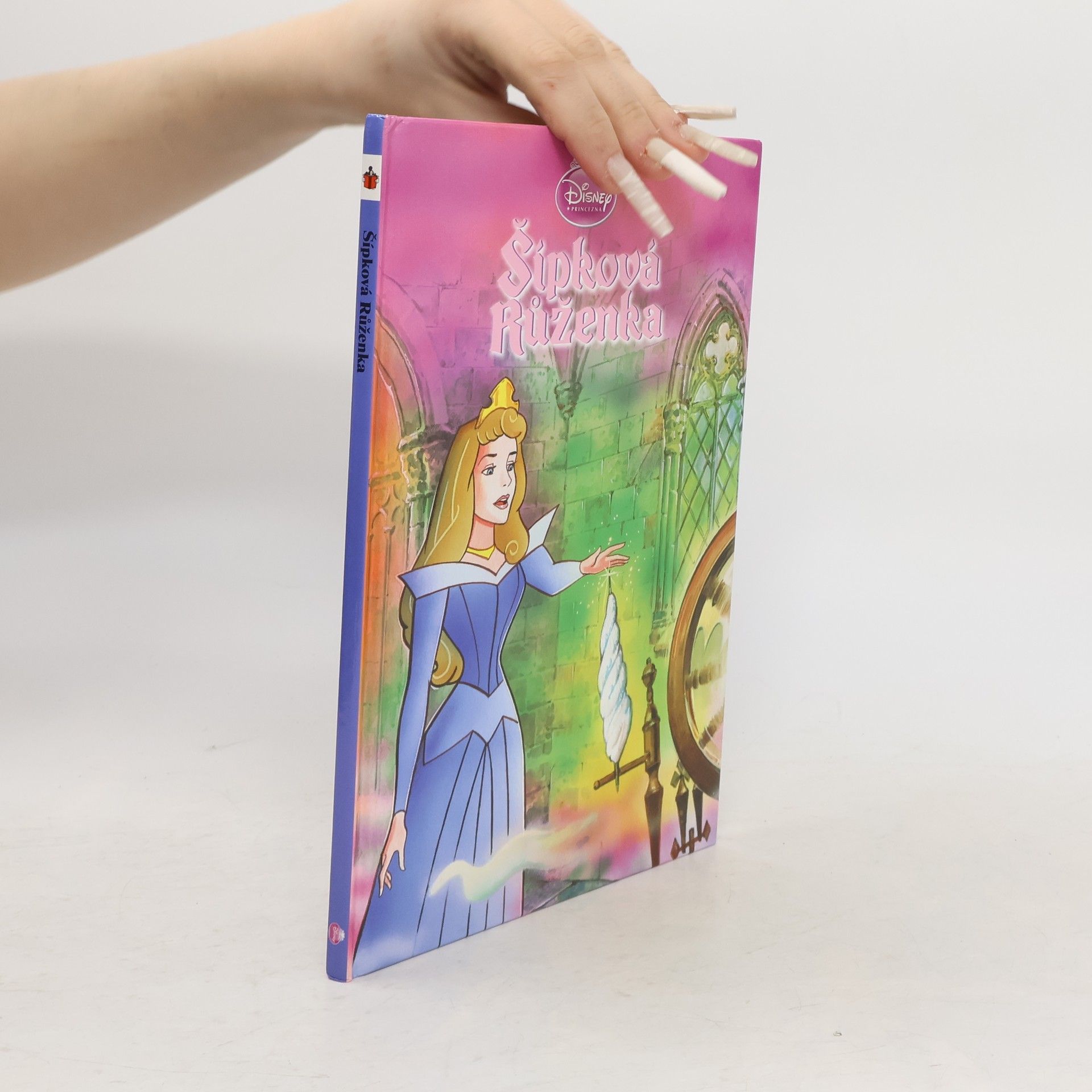 Kolektiv autorů Šípková Růženka