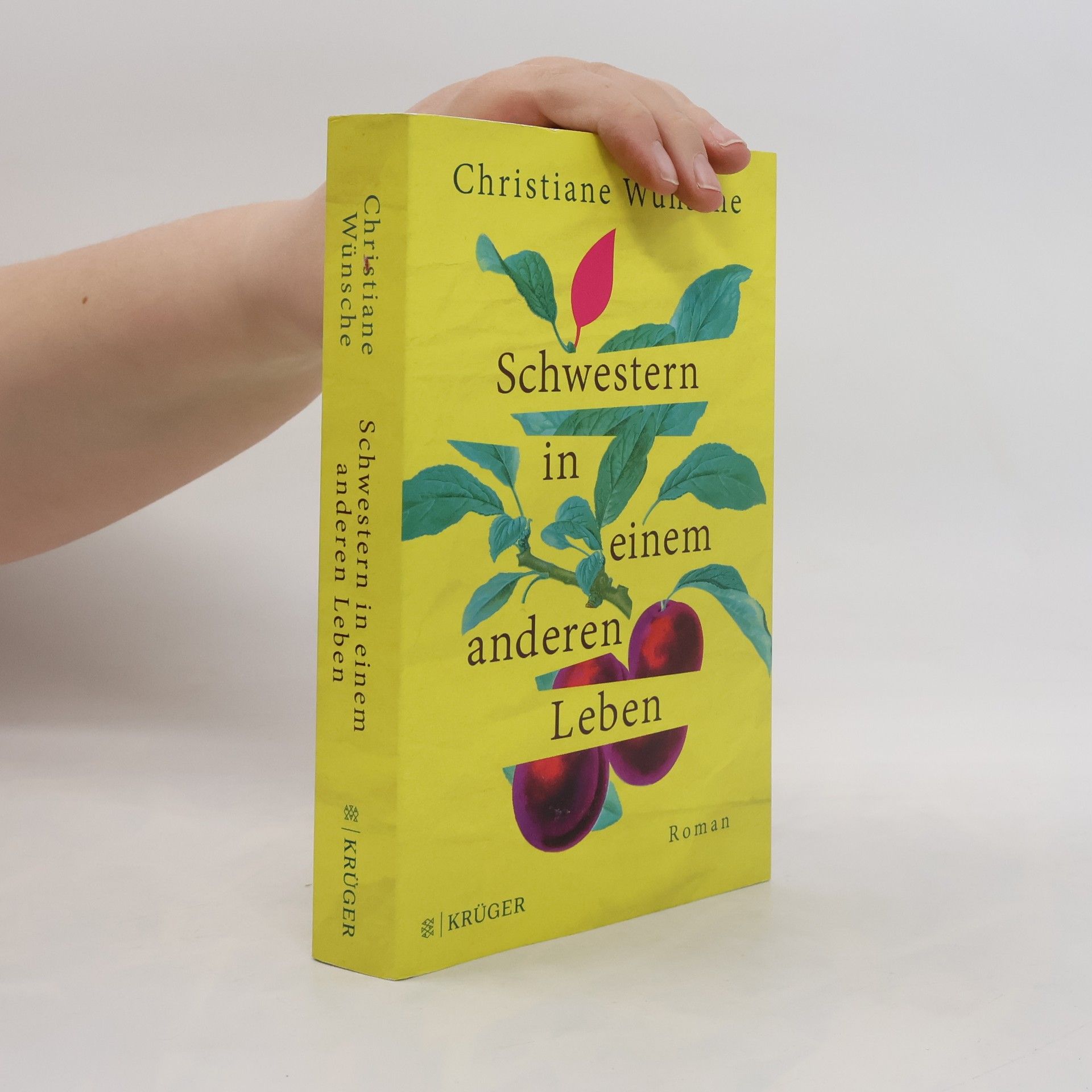 Schwestern in einem anderen Leben