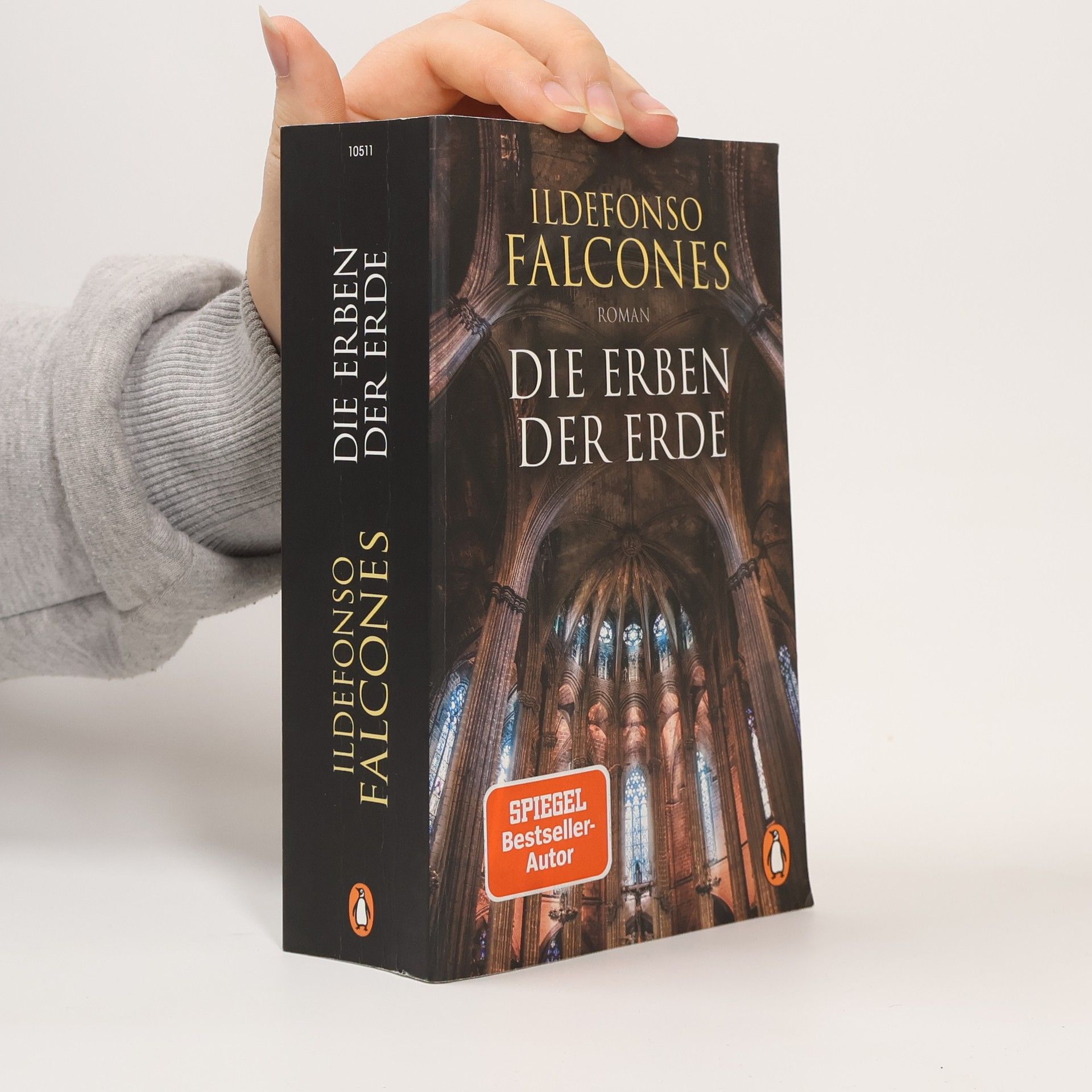 Ildefonso Falcones Die Erben der Erde