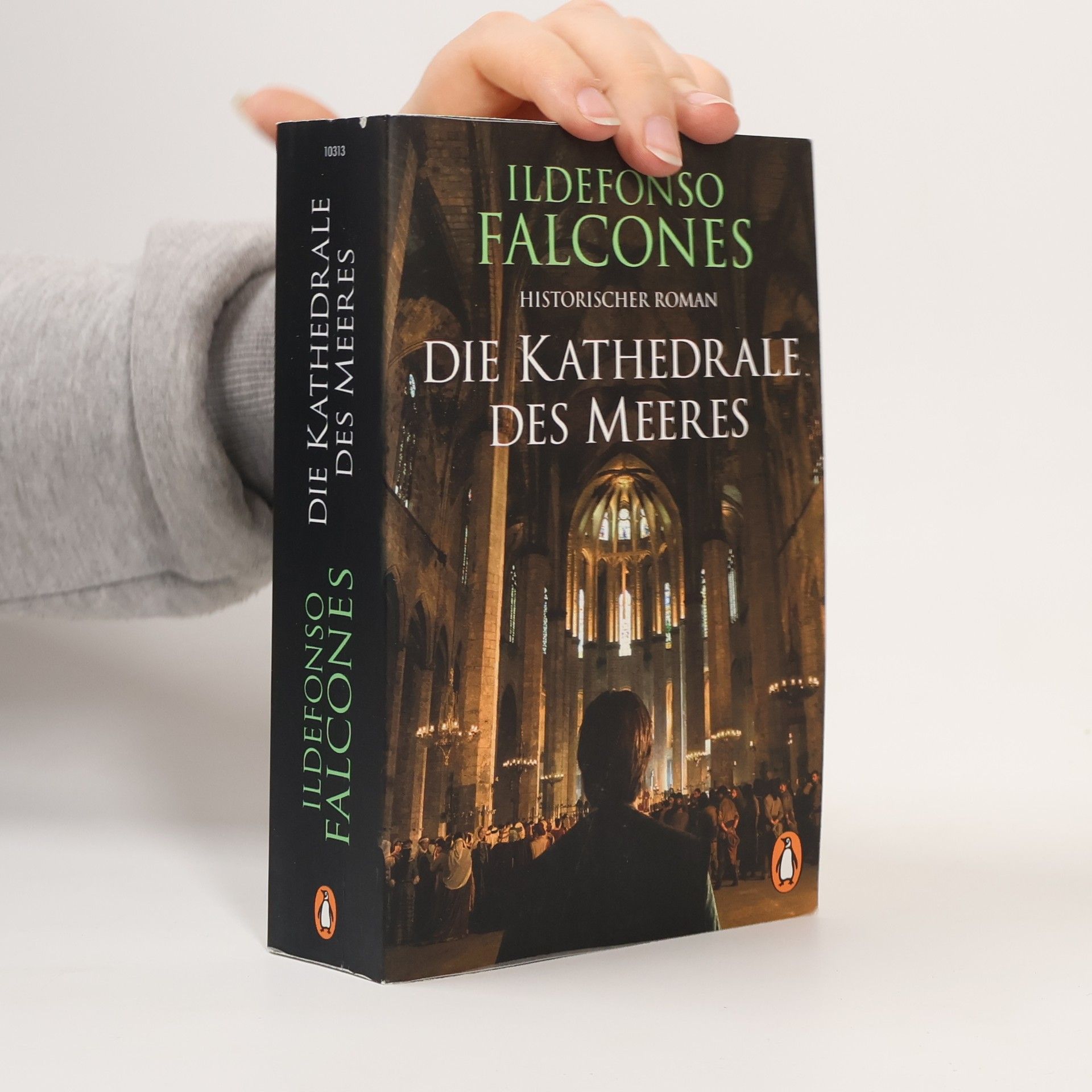 Ildefonso Falcones Die Kathedrale des Meeres