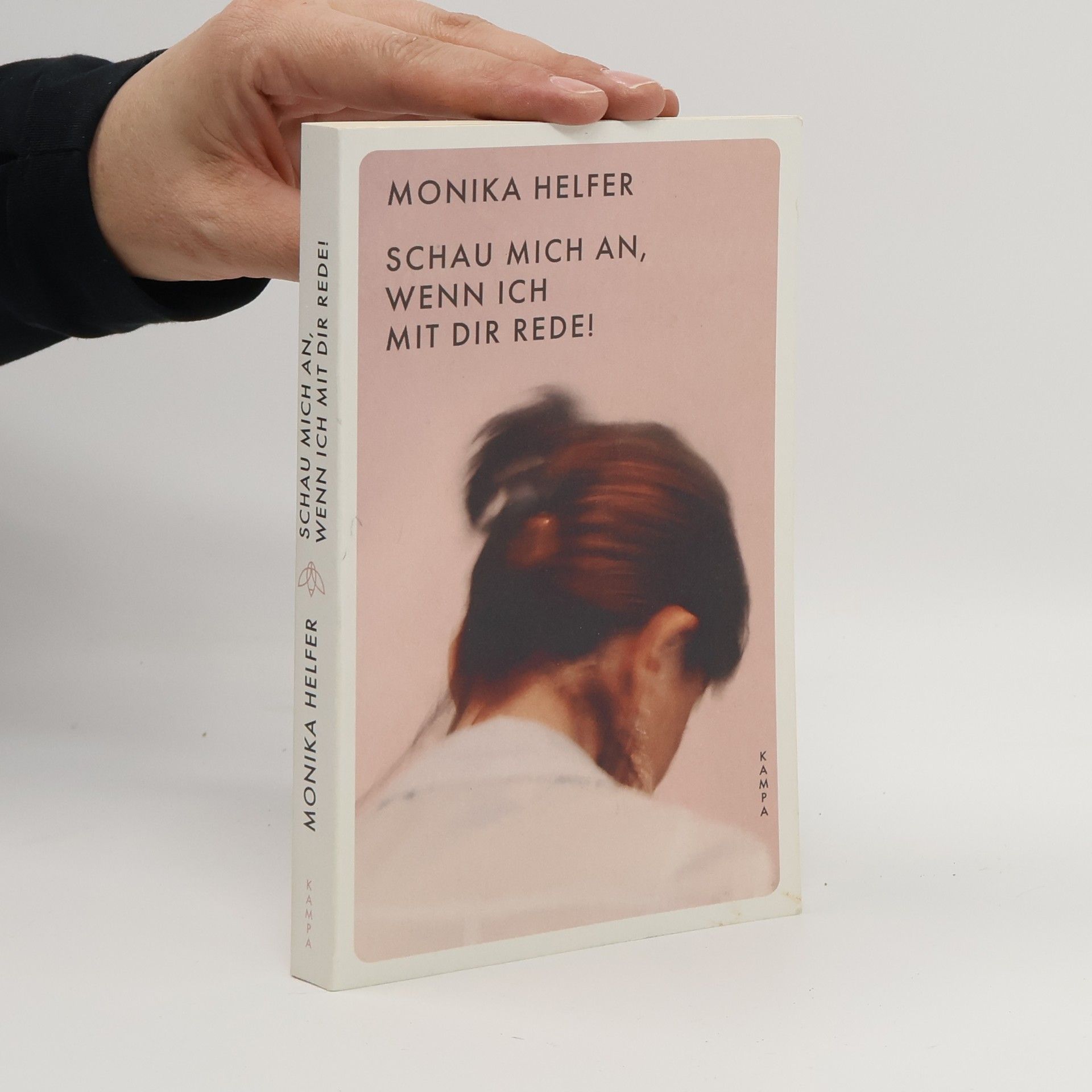 Monika Helfer Schau mich an, wenn ich mit dir rede!