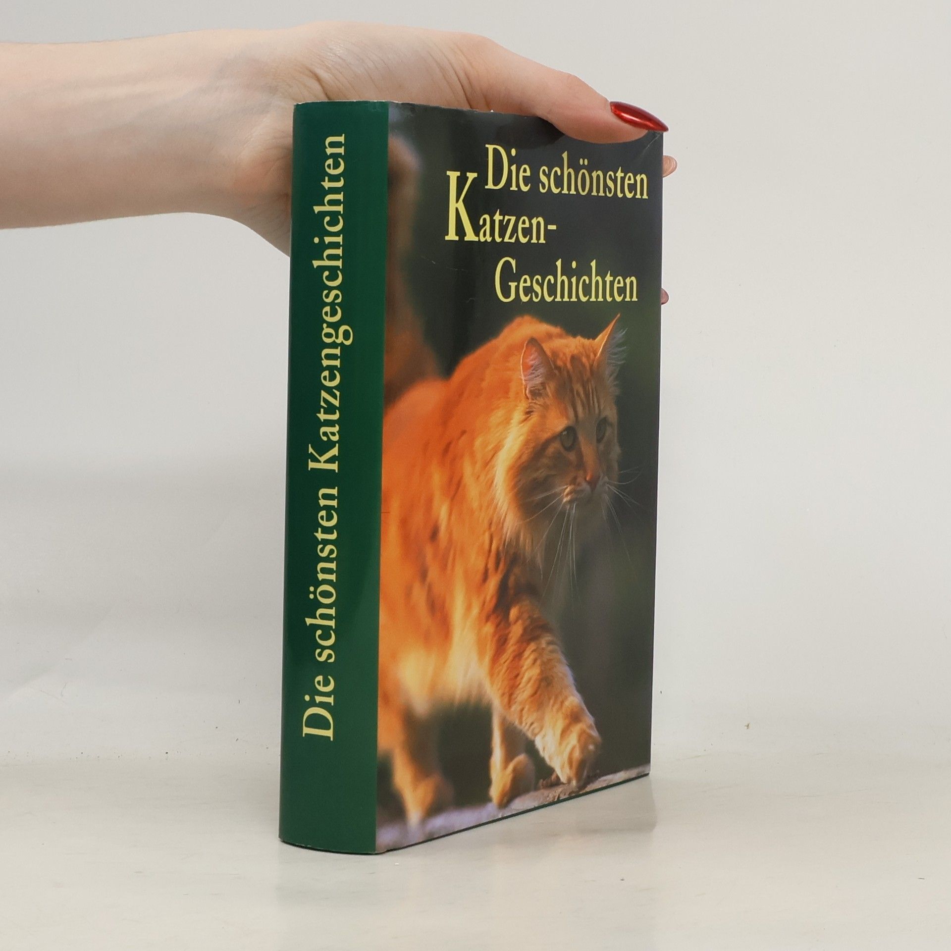 Kolektiv autorů Die schönsten Katzen-Geschichten