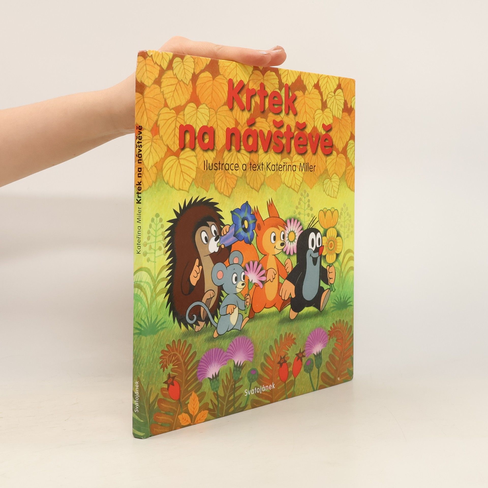 Kateřina Lovis-Miler Krtek na návštěvě