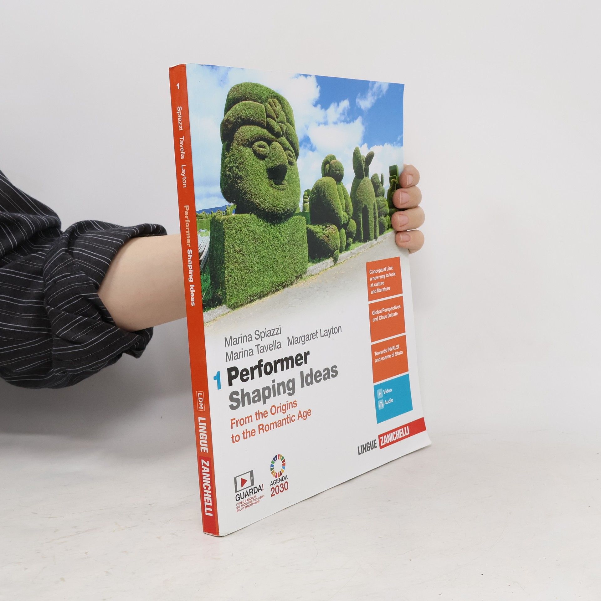 Marina Spiazzi Performer Shaping Ideas 1