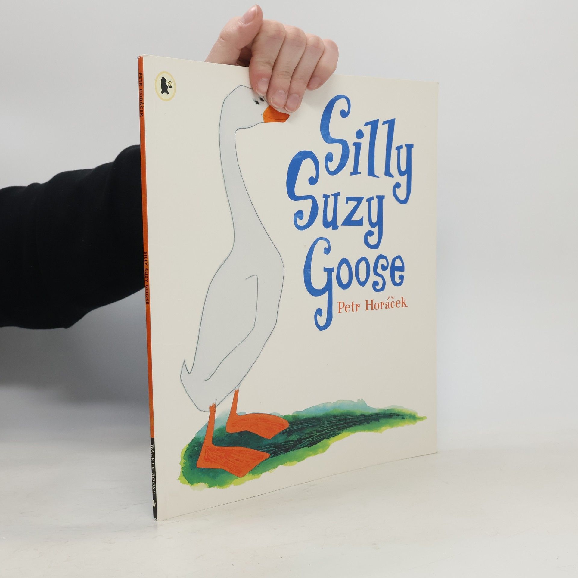 Petr Horáček Silly Suzy Goose