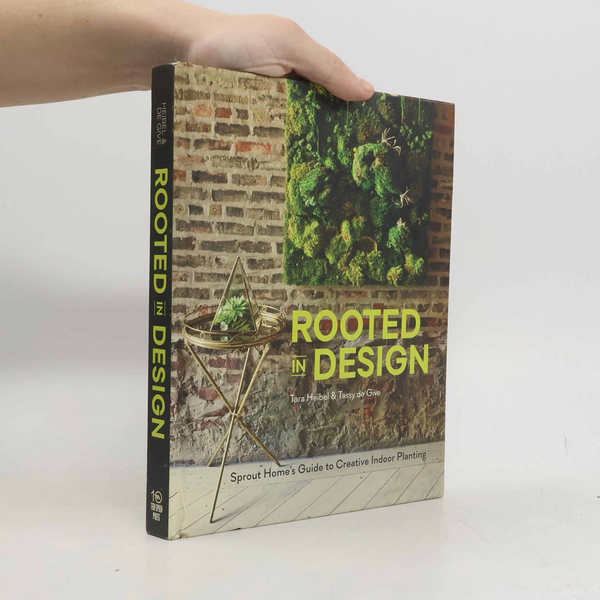 Tara Heibel Rooted in design: Sprout Home's guide to creative indoor planting