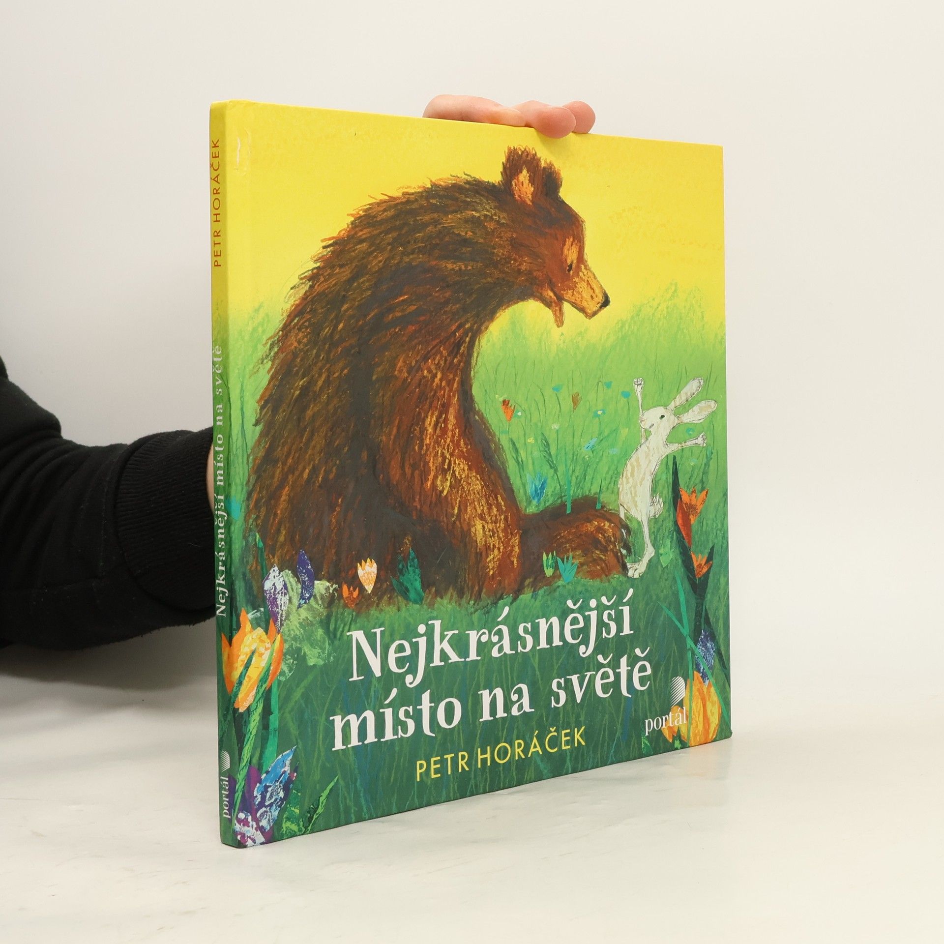 Horacek Petr Nejkrásnější místo na světě