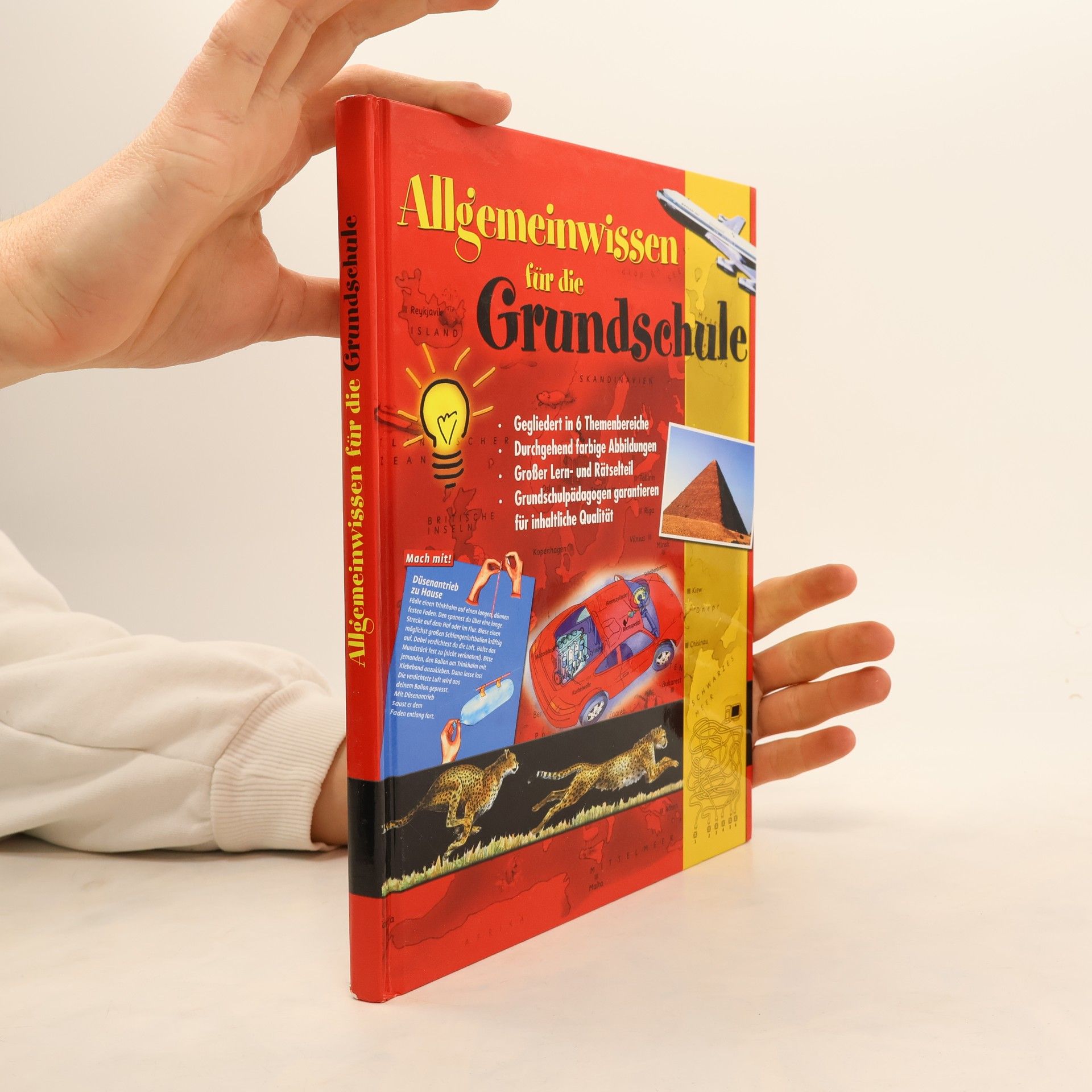 Autorenkollektiv Allgemeinwissen für die Grundschule