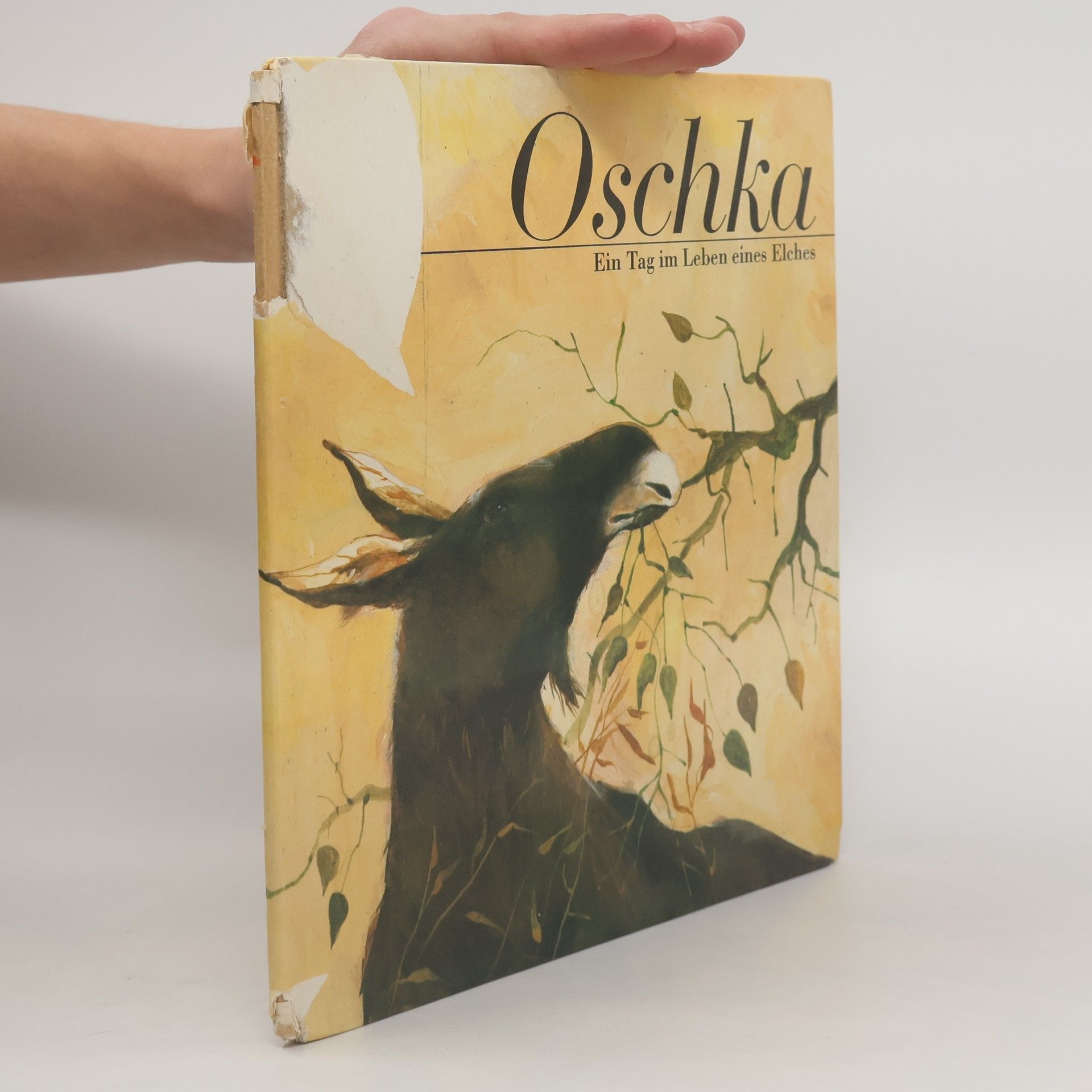 Auteurscollectief Oschka. Ein Tag im Leben eines Elches