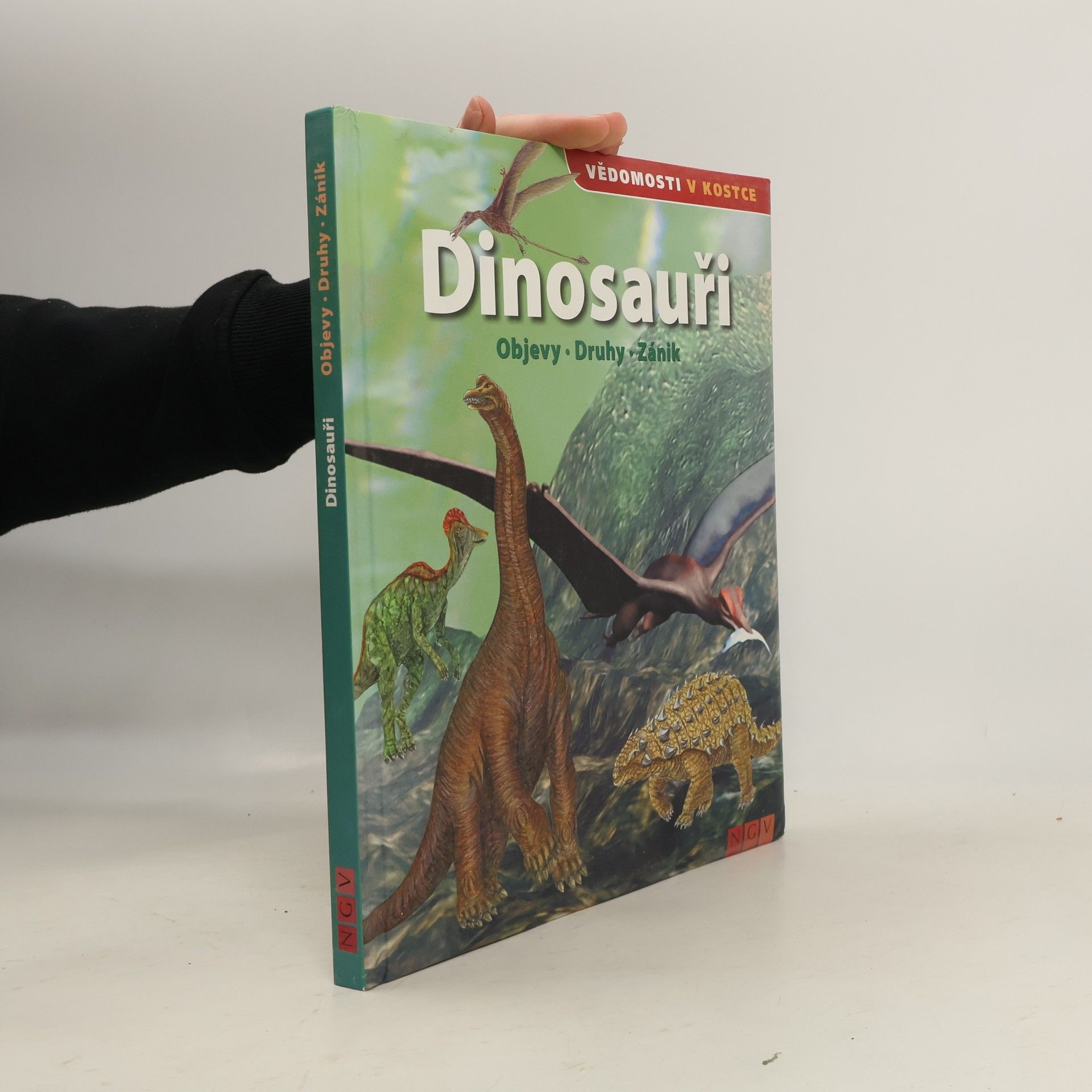 Autorenkollektiv Dinosauři