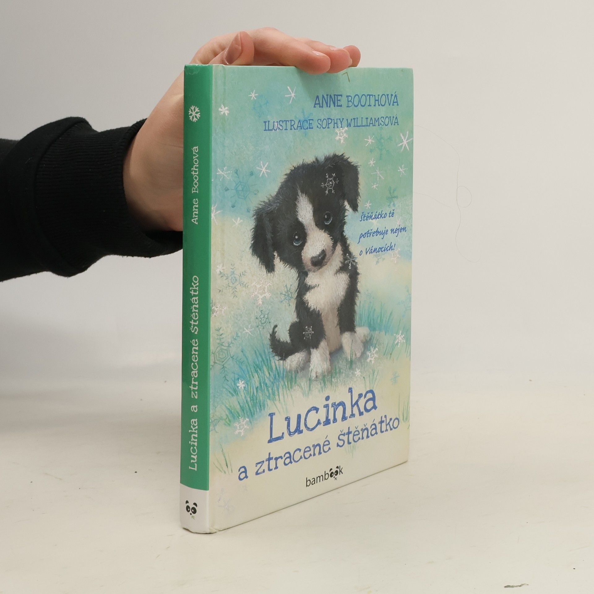 Lucinka a ztracené štěňátko