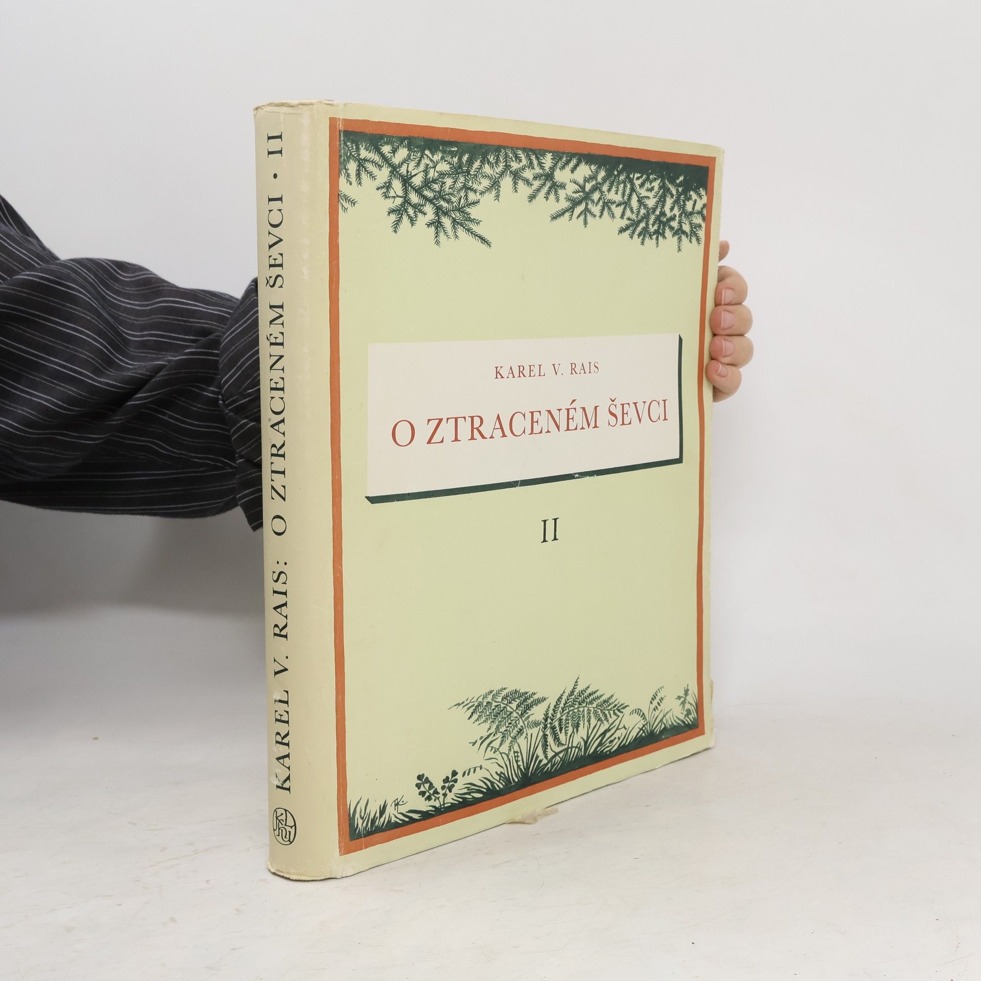 Karel Václav Rais O ztraceném ševci II