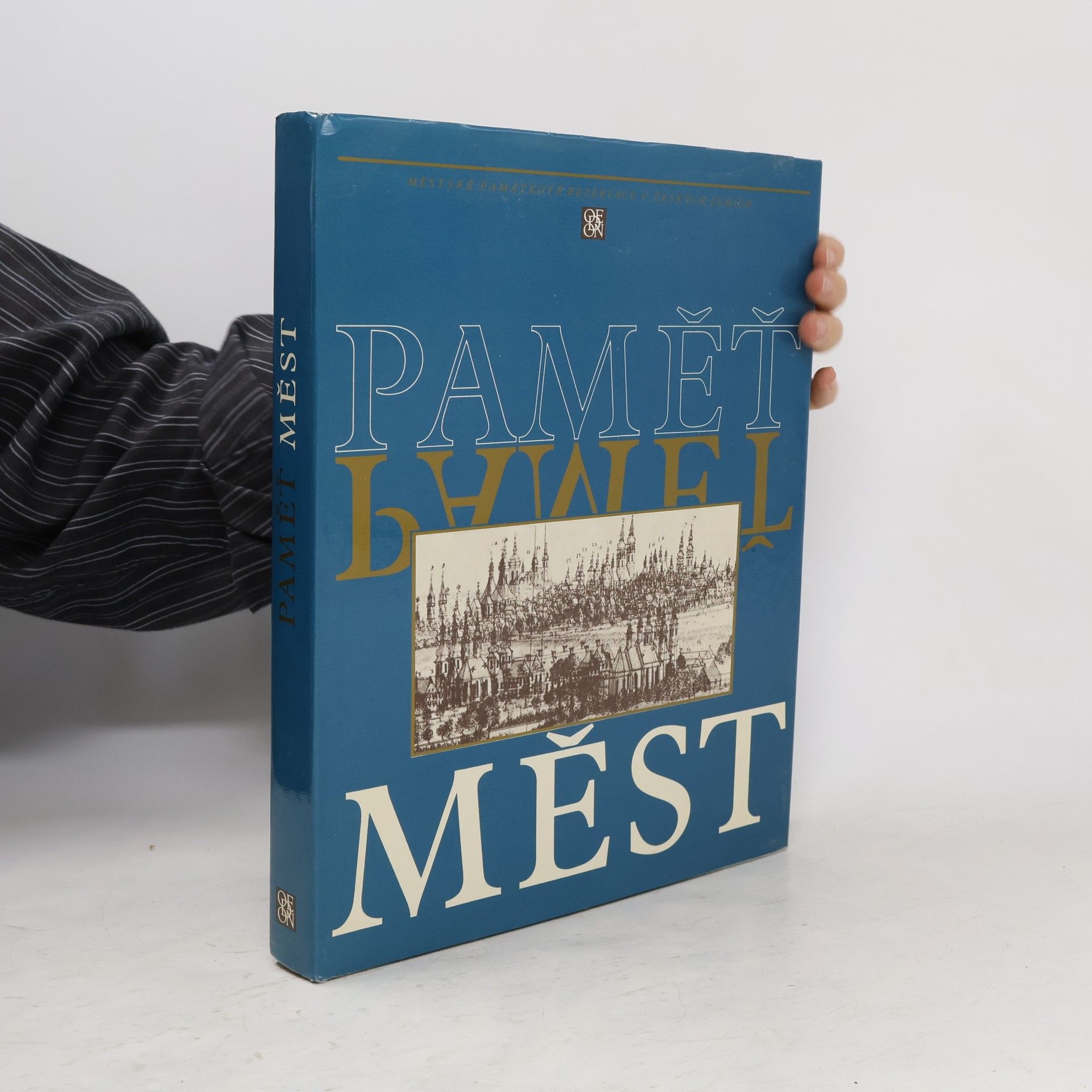 Kolektiv autorů Paměť měst