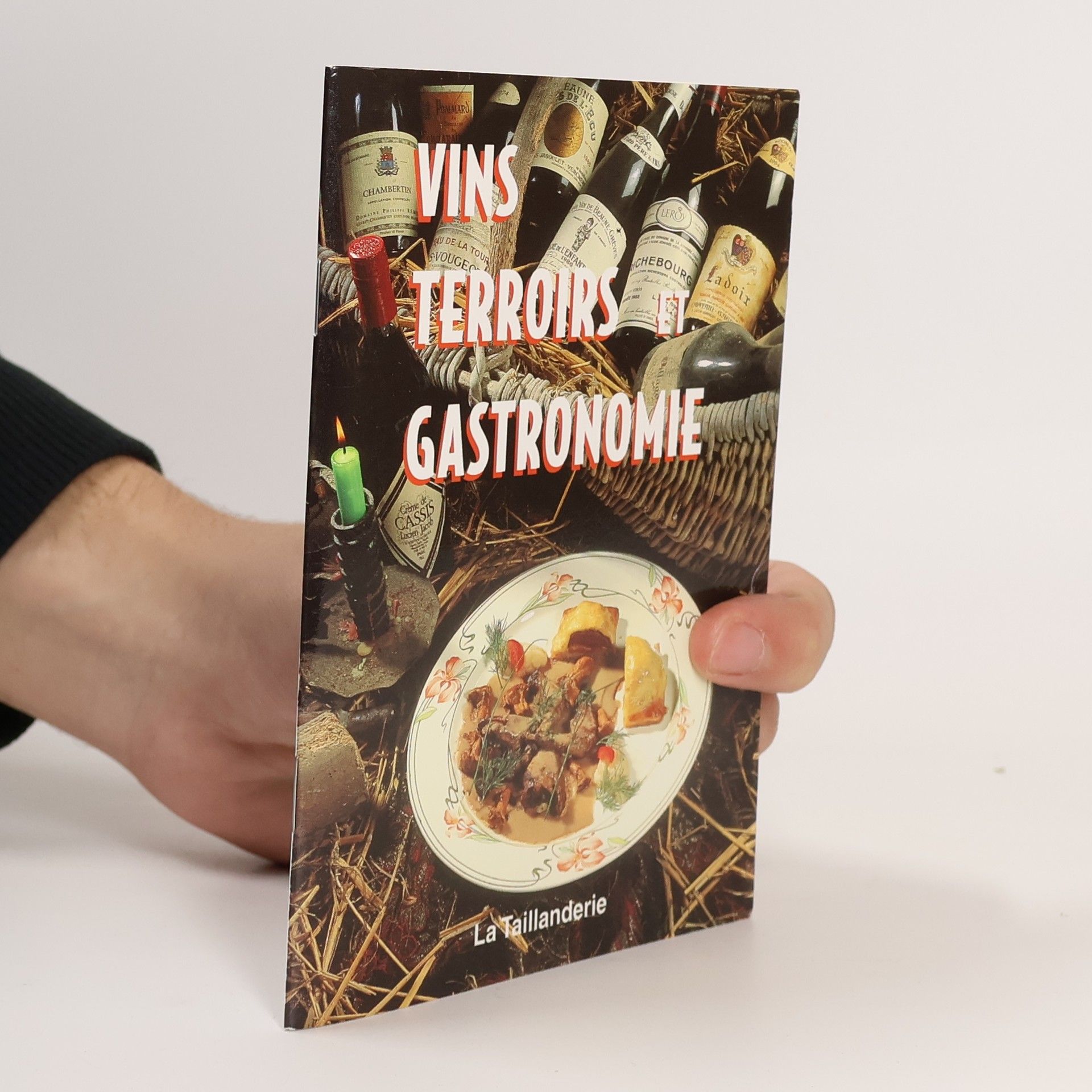 Kolektiv autorů Vins terroirs et gastronomie