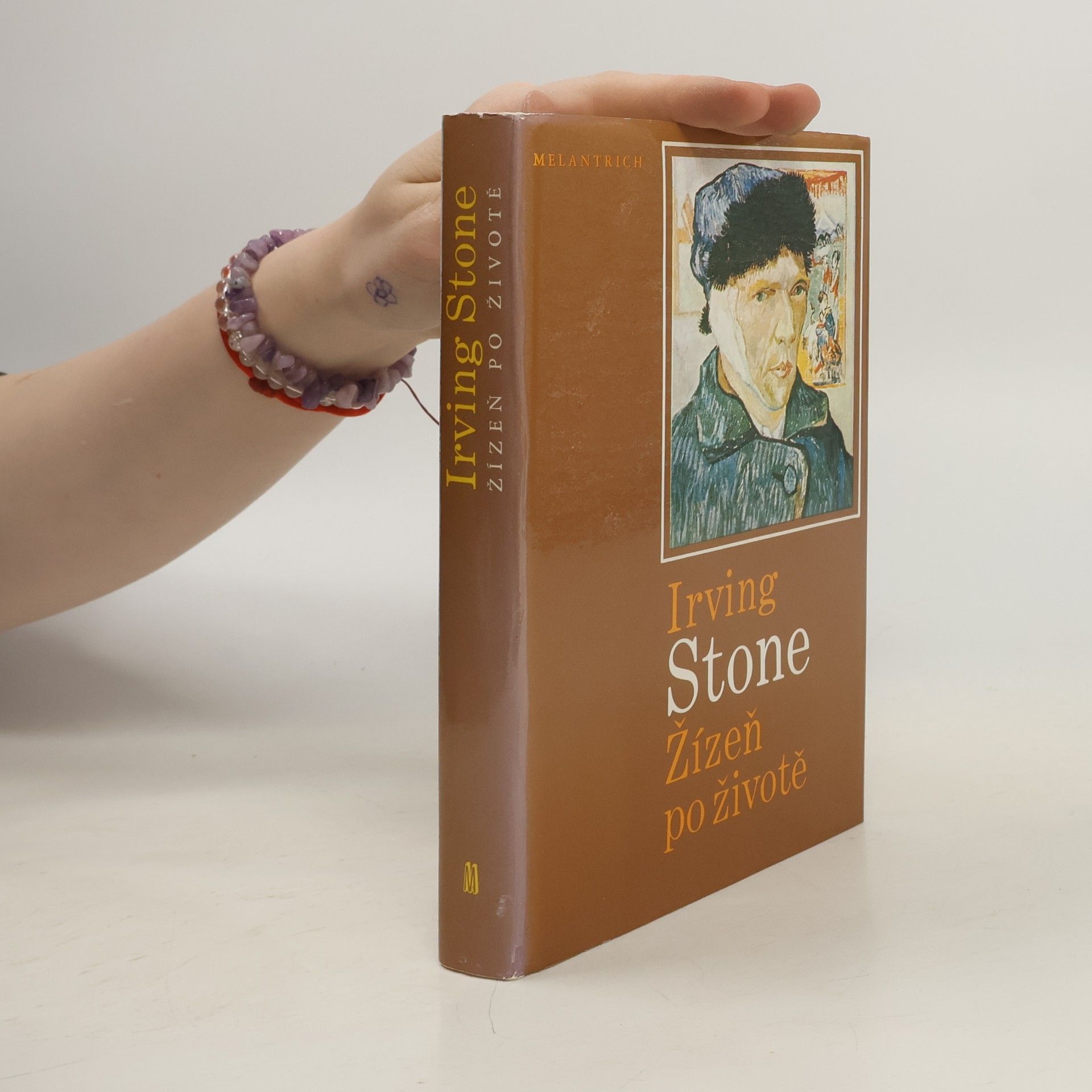 Irving Stone Žízeň po životě