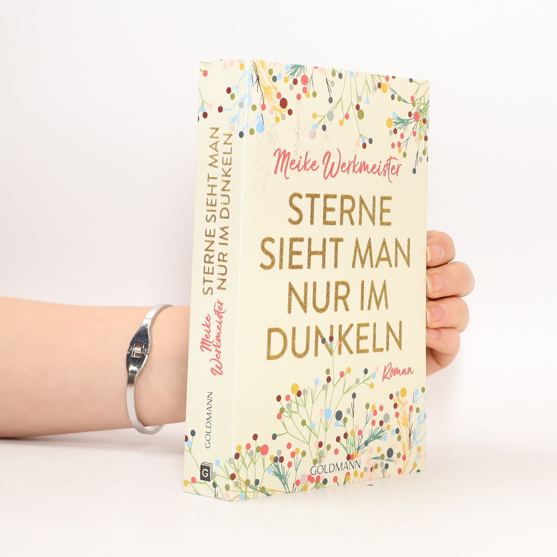 Meike Werkmeister Sterne sieht man nur im Dunkeln