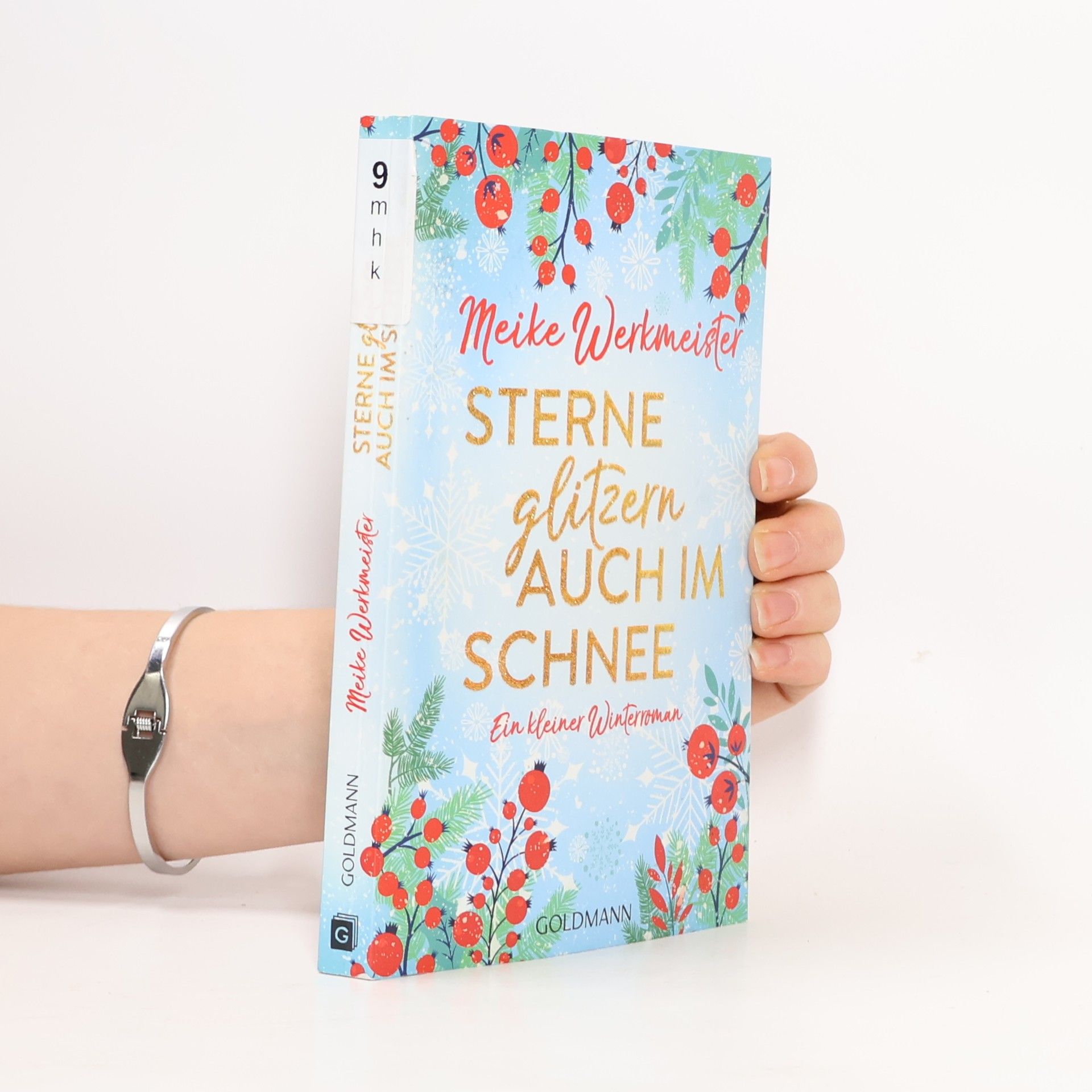 Meike Werkmeister Sterne glitzern auch im Schnee