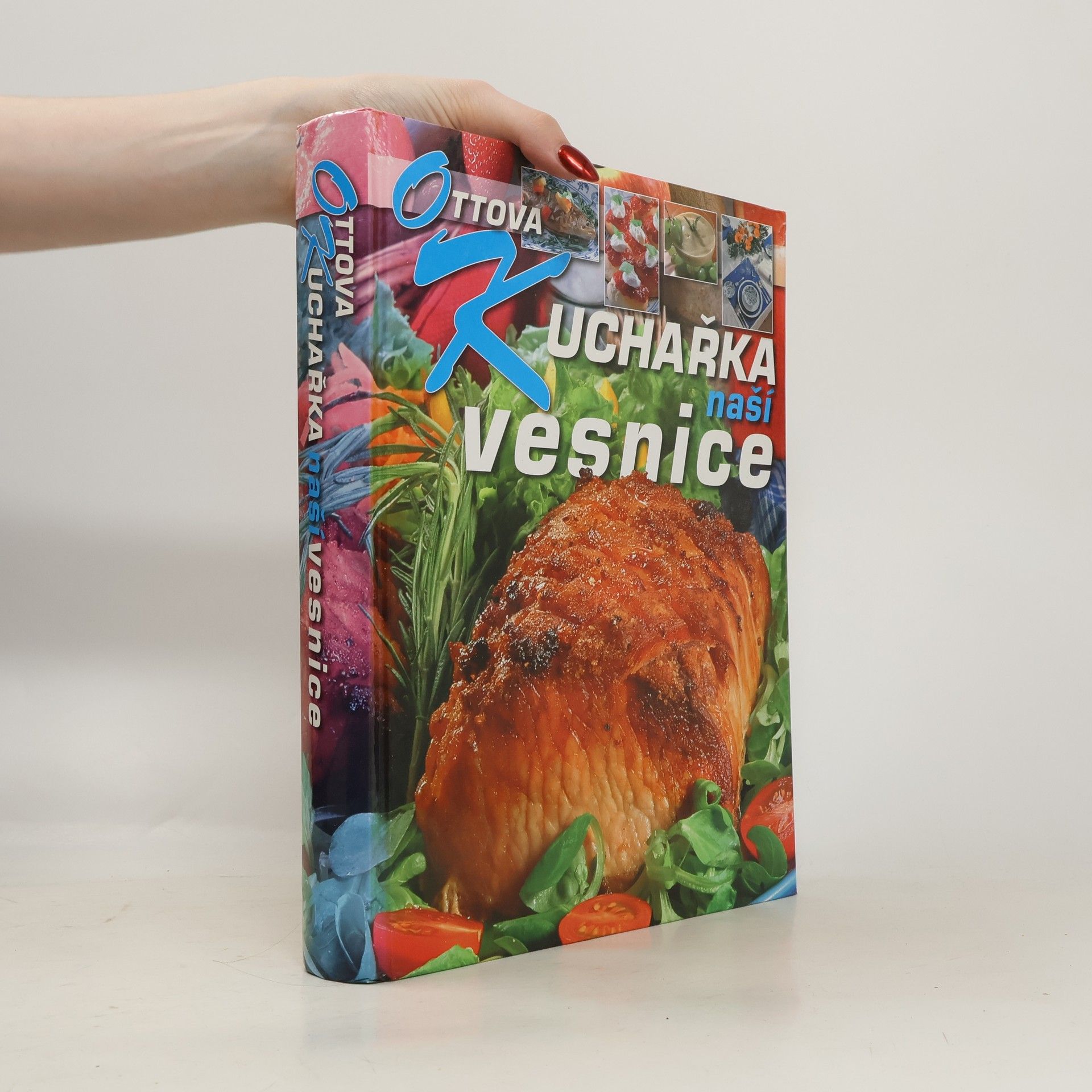 Ottova kuchařka naší vesnice