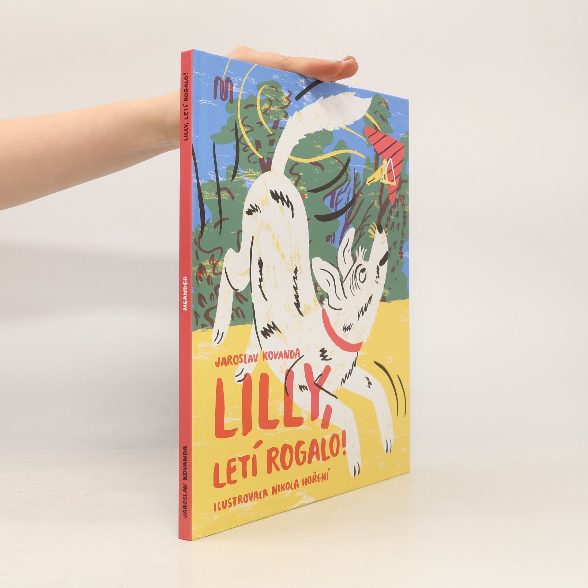 Jaroslav Kovanda Lilly, letí rogalo!