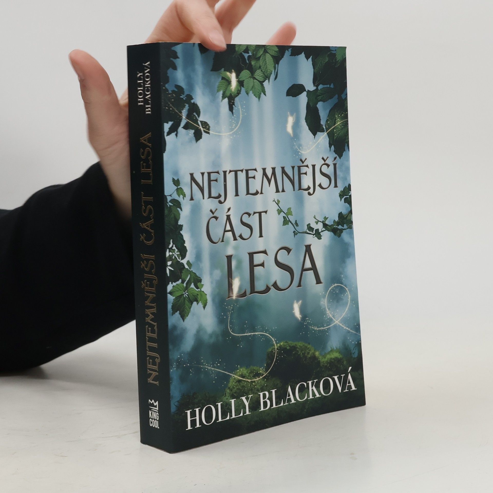 Holly Black Nejtemnější část lesa