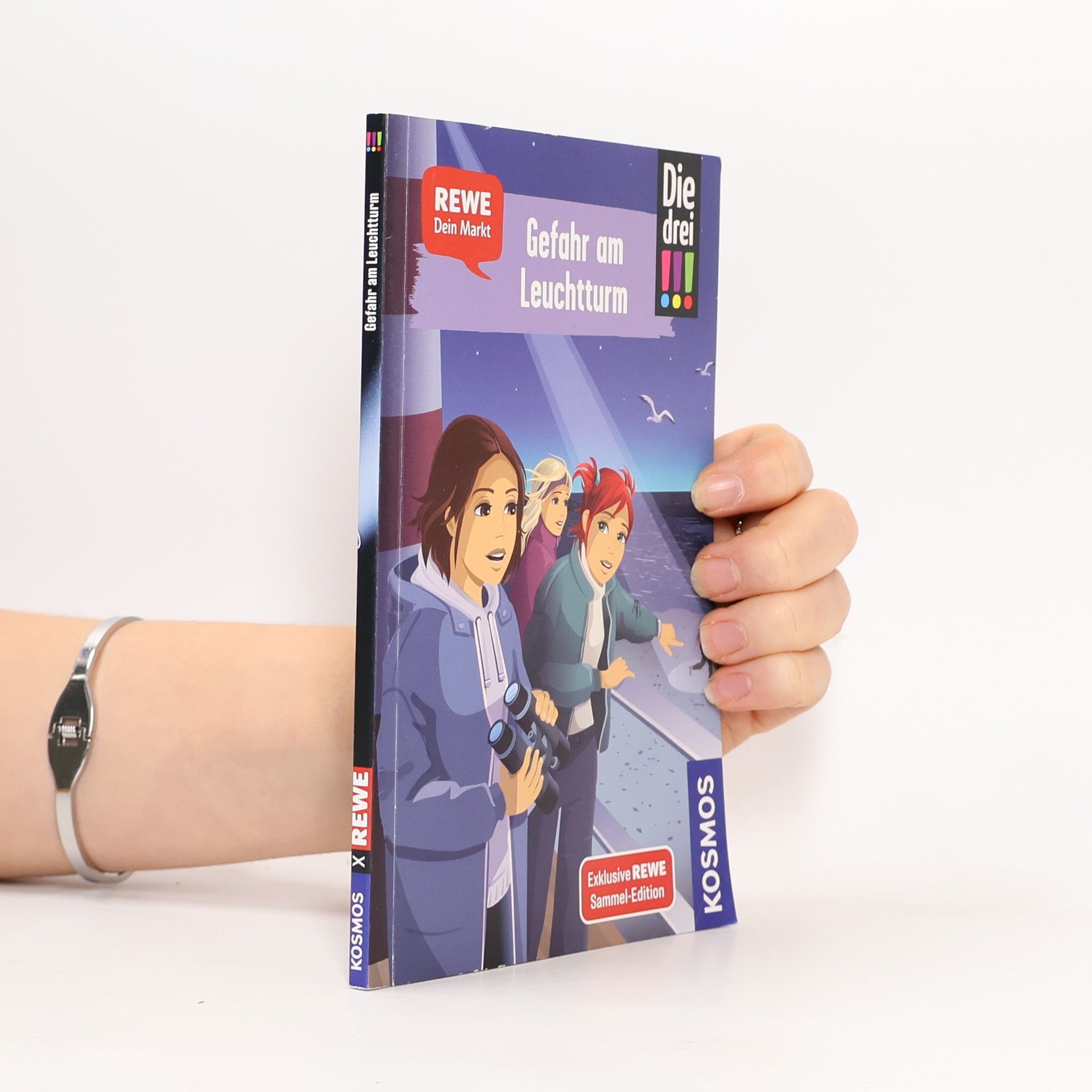 Kolektiv autorů Die drei !!! Gefahr am Leuchtturm