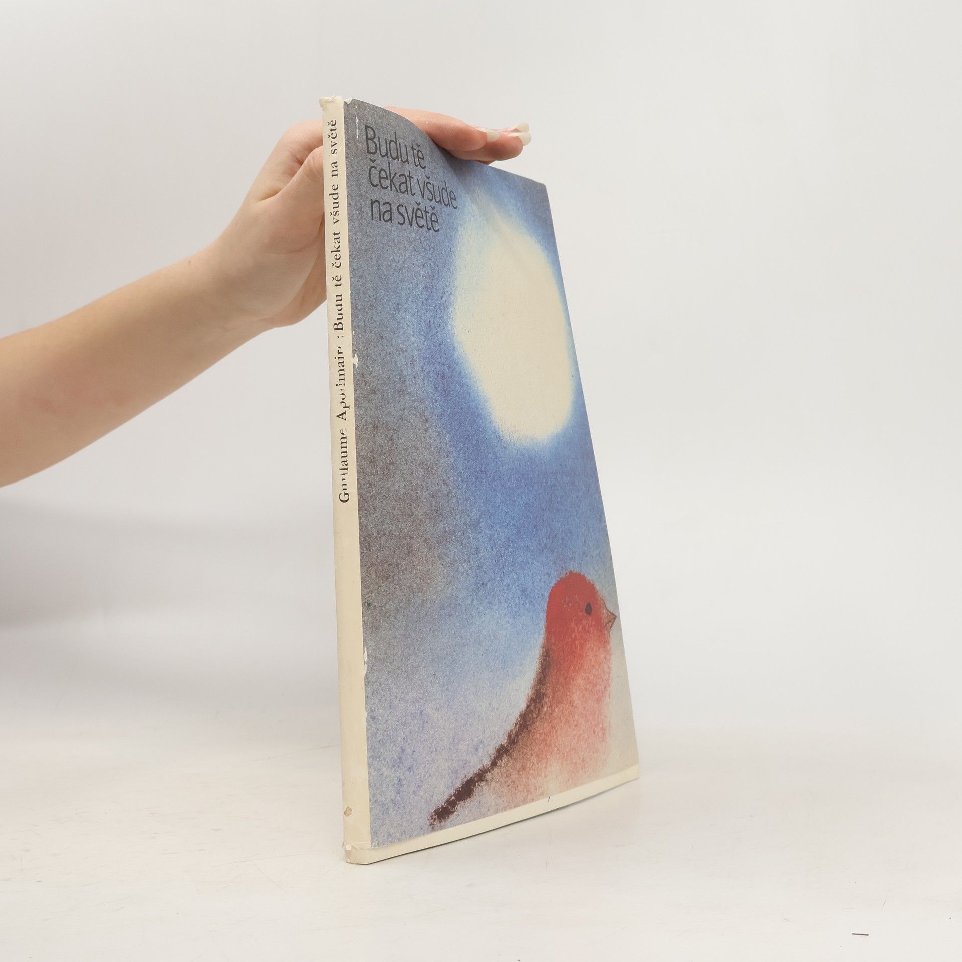 Guillaume Apollinaire Budu tě čekat všude na světě