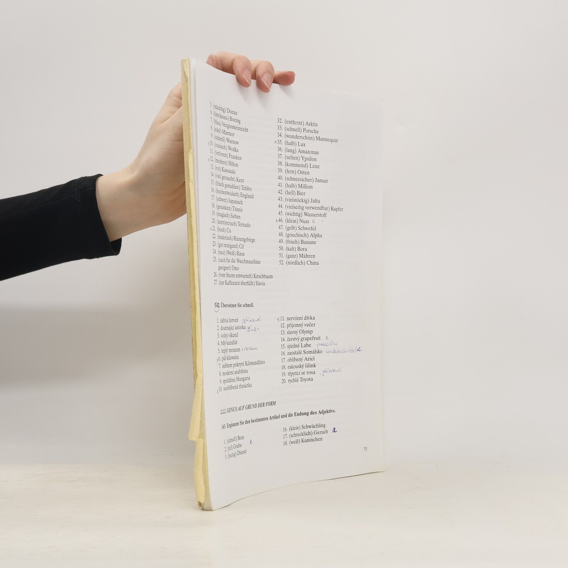 Zdenka Křížková Grammatische Übungen für Germanisten