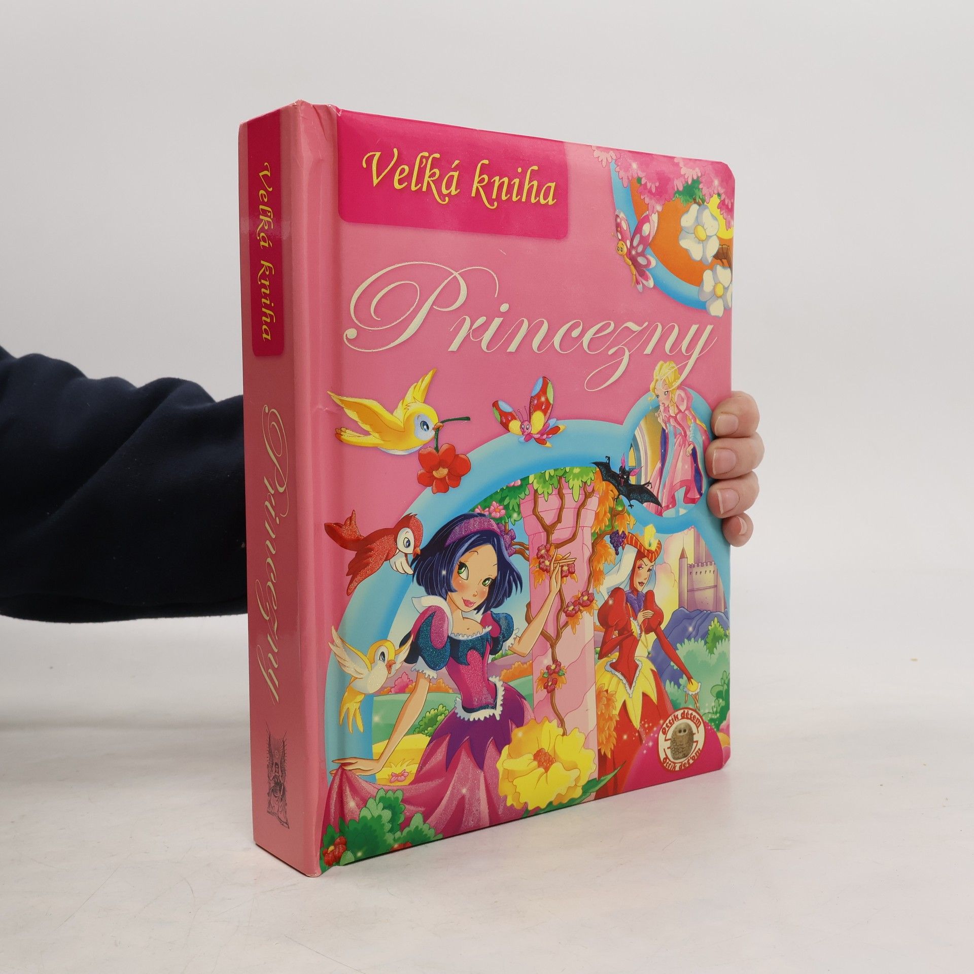 Collectif d'auteurs Veľká kniha: Princezny