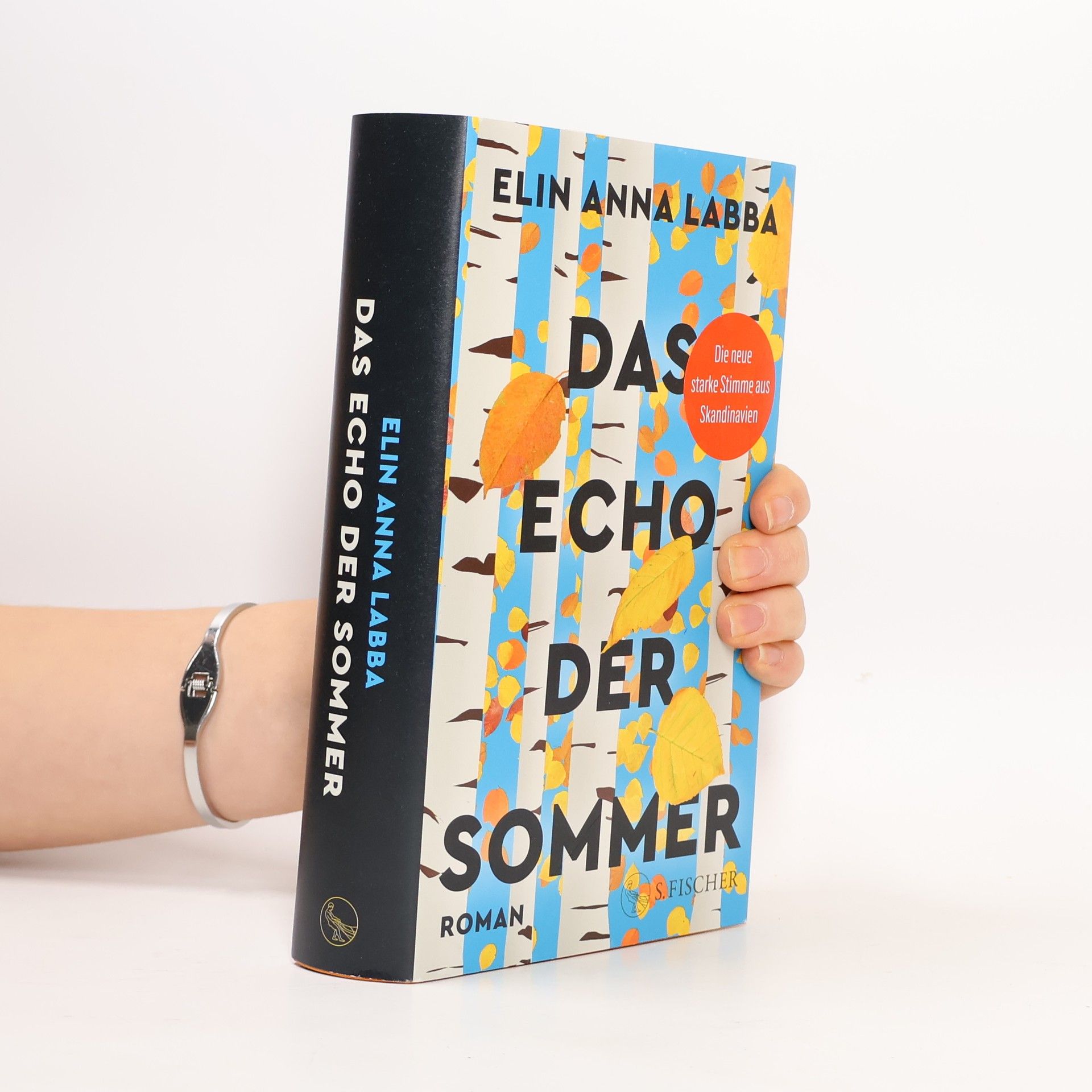 Elin Anna Labba Das Echo der Sommer