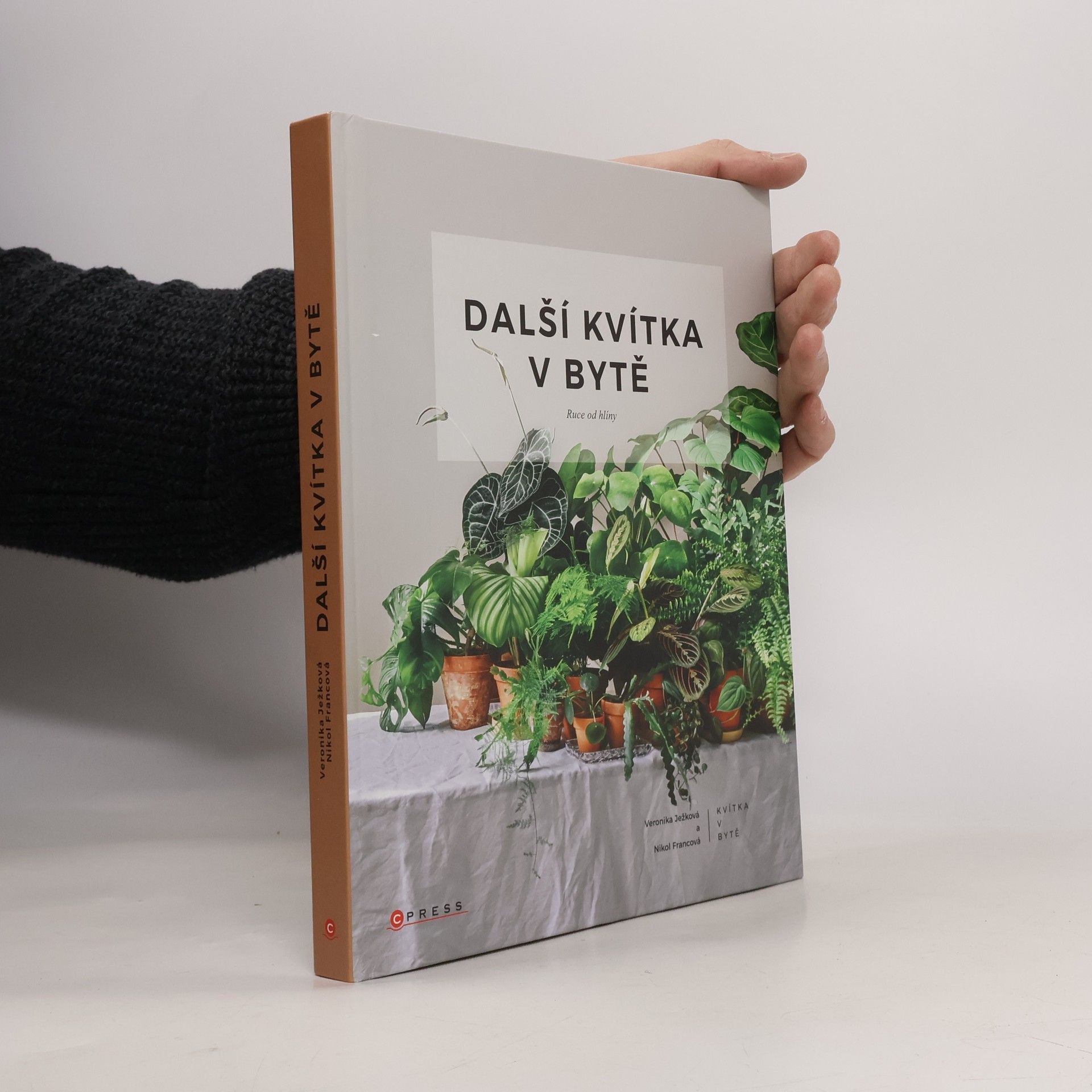 Další kvítka v bytě : Ruce od hlíny