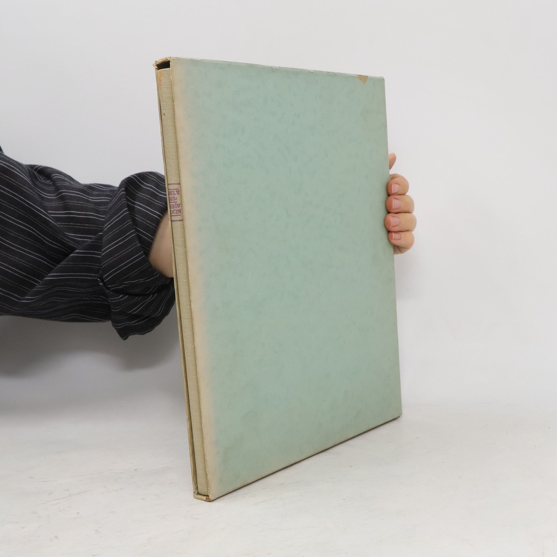 Karel Václav Rais Kalibův zločin. Obraz z podhoří