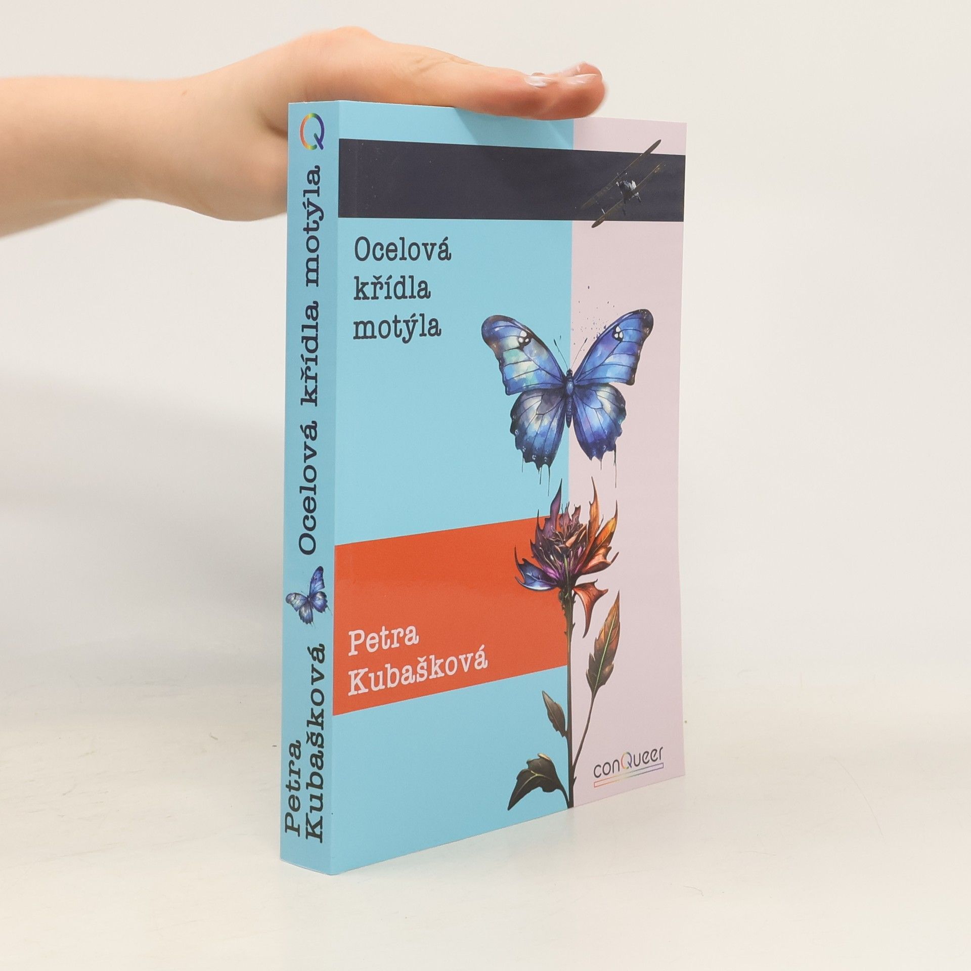 Petra Kubašková Ocelová křídla motýla